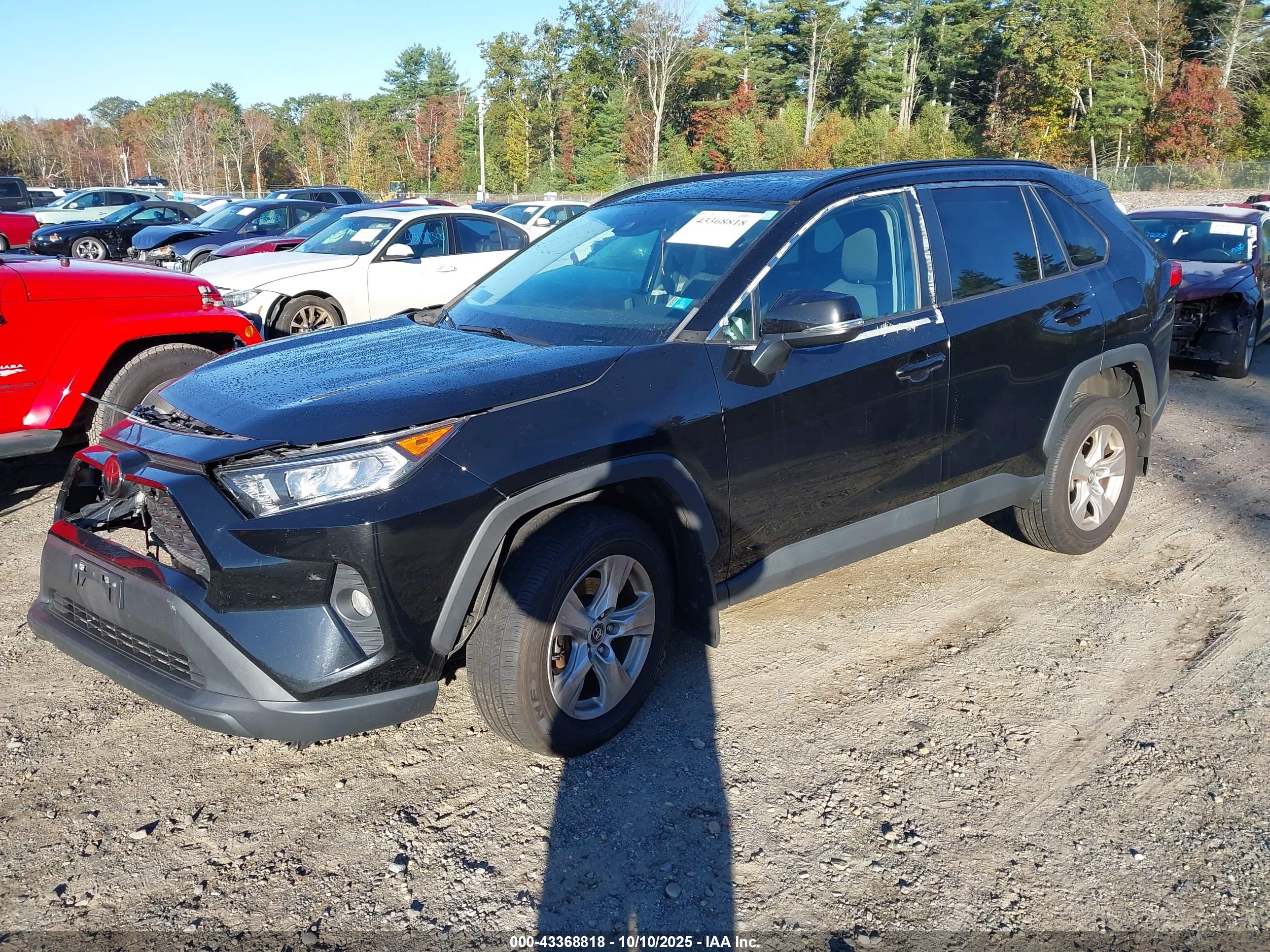 TOYOTA RAV4 image 2