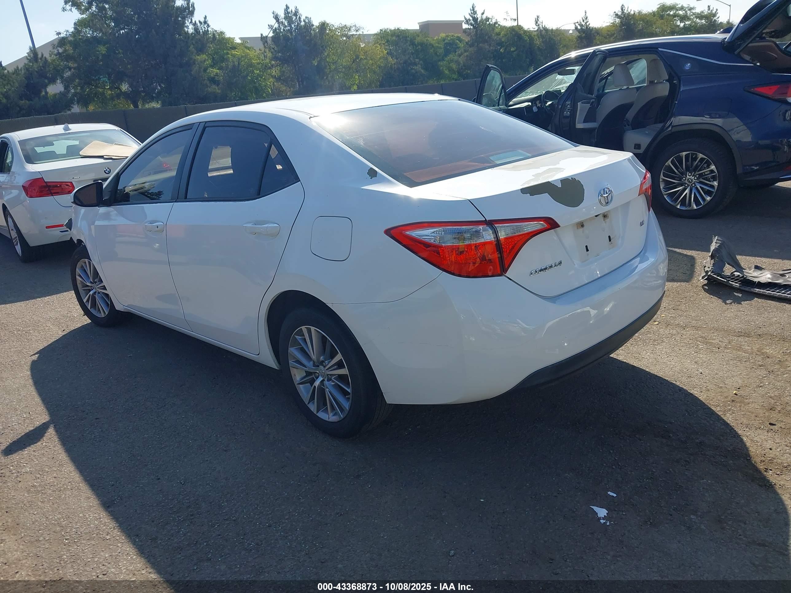 TOYOTA COROLLA image 3