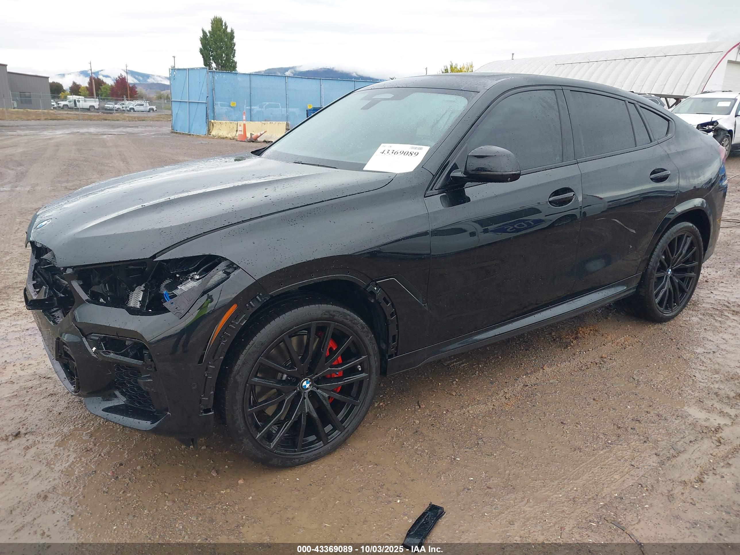 BMW X6 image 2