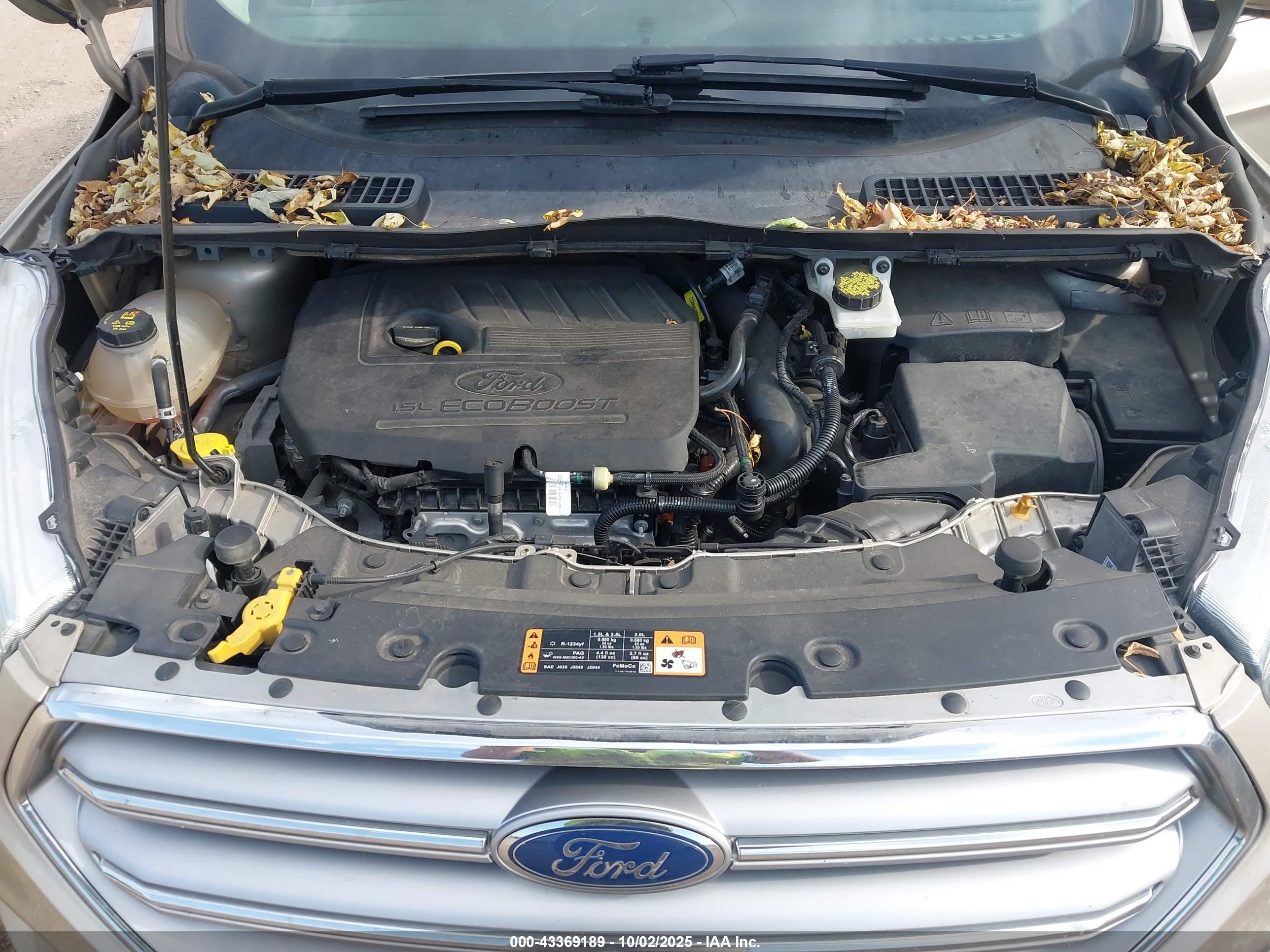 FORD ESCAPE image 10
