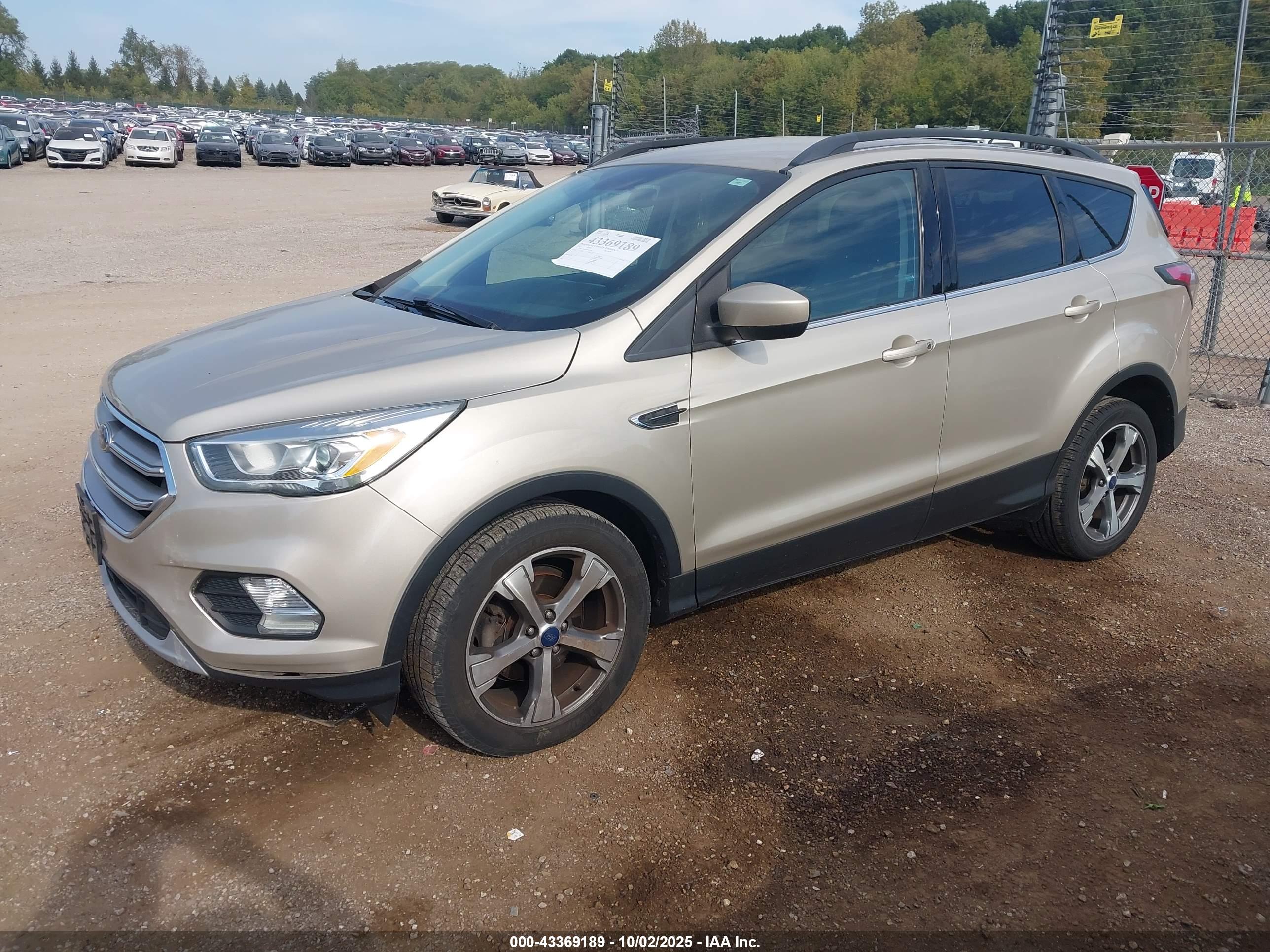 FORD ESCAPE image 2