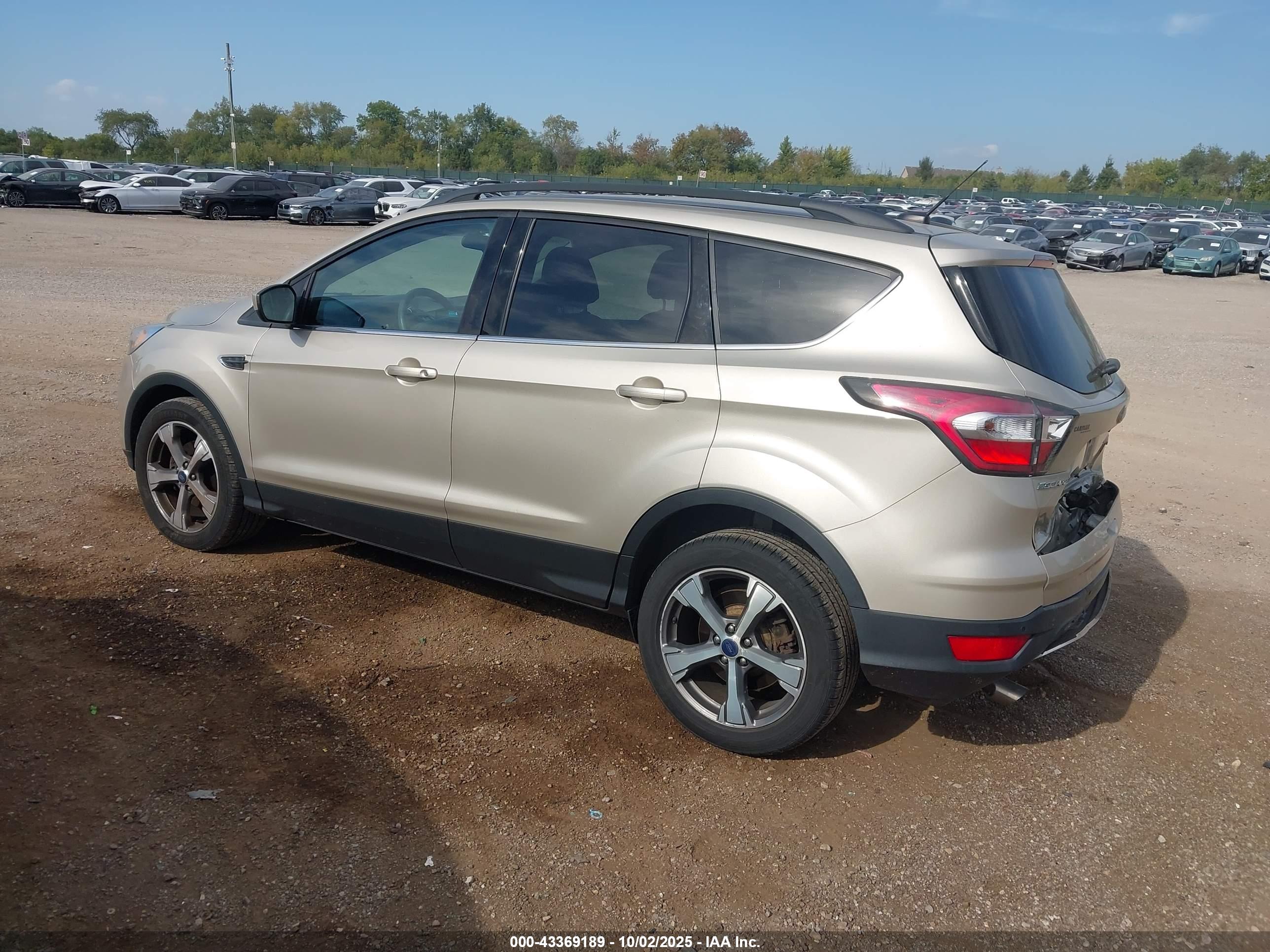 FORD ESCAPE image 3