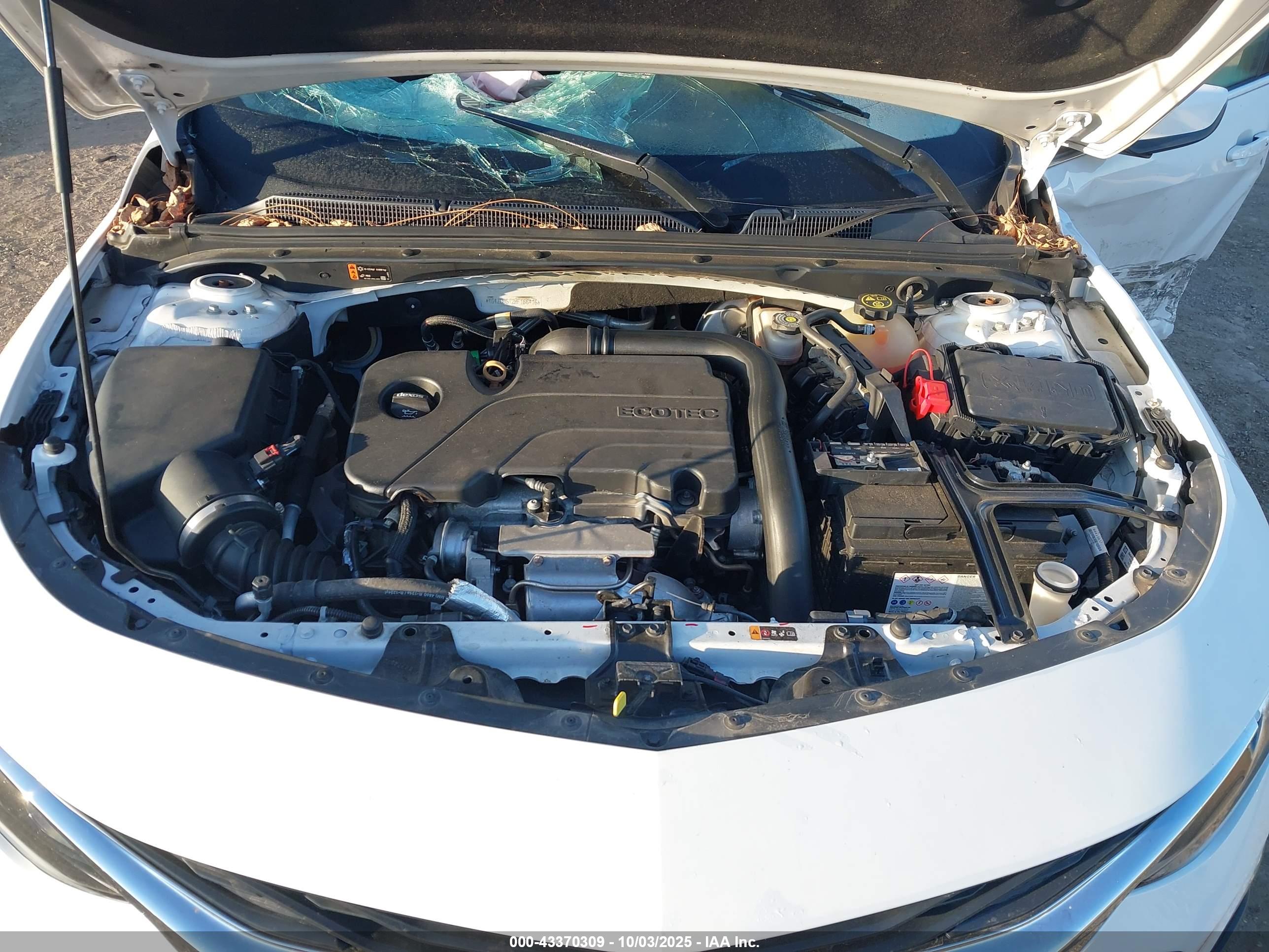 CHEVROLET MALIBU image 10