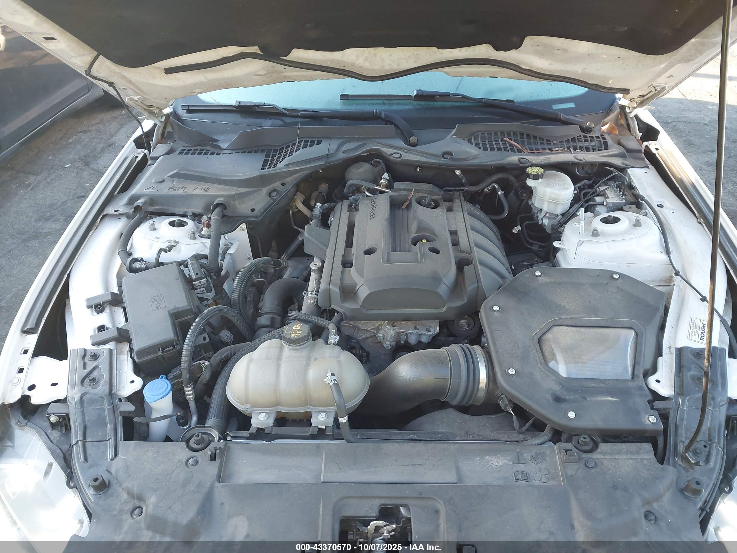 FORD MUSTANG image 10