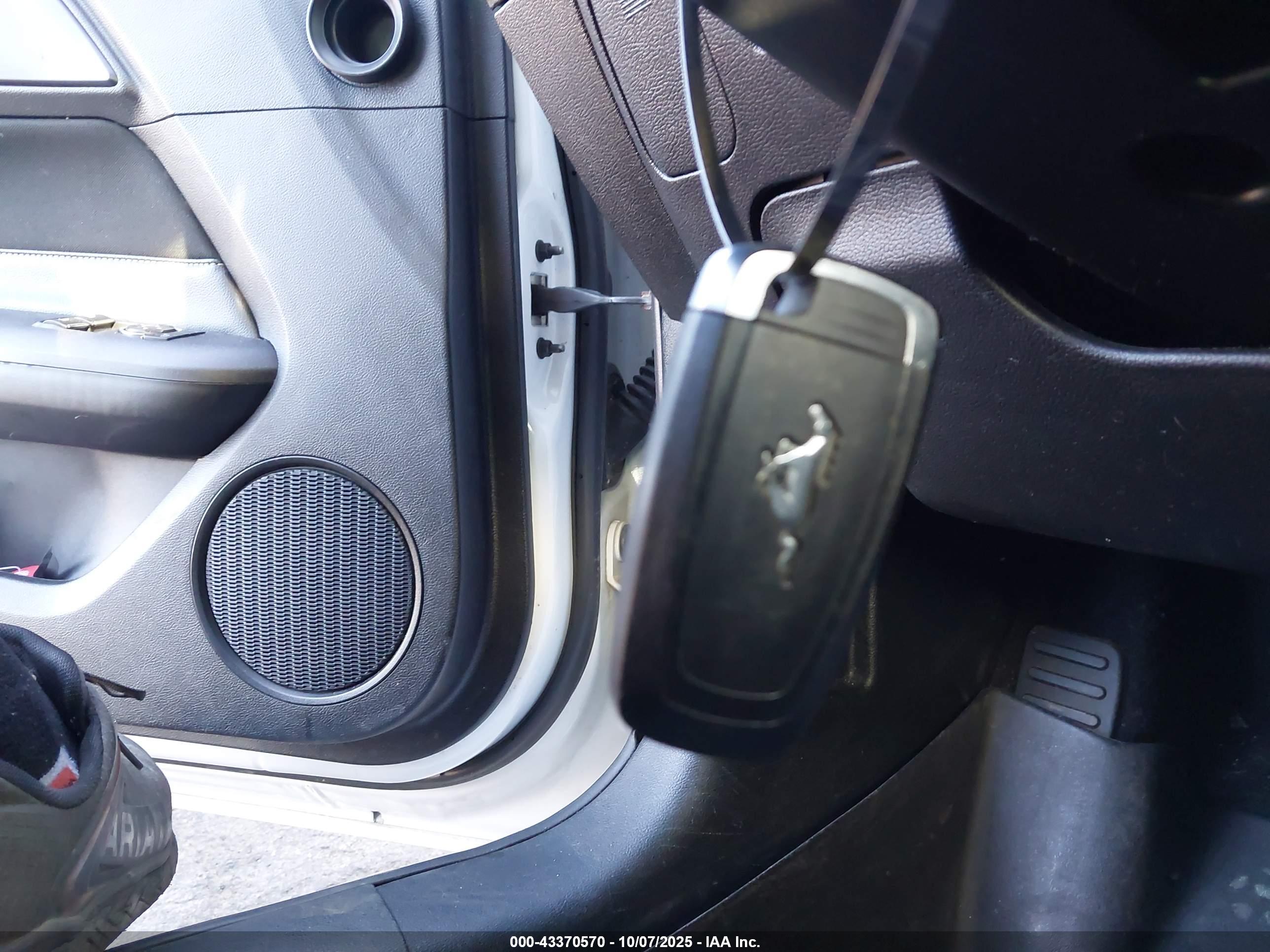 FORD MUSTANG image 11