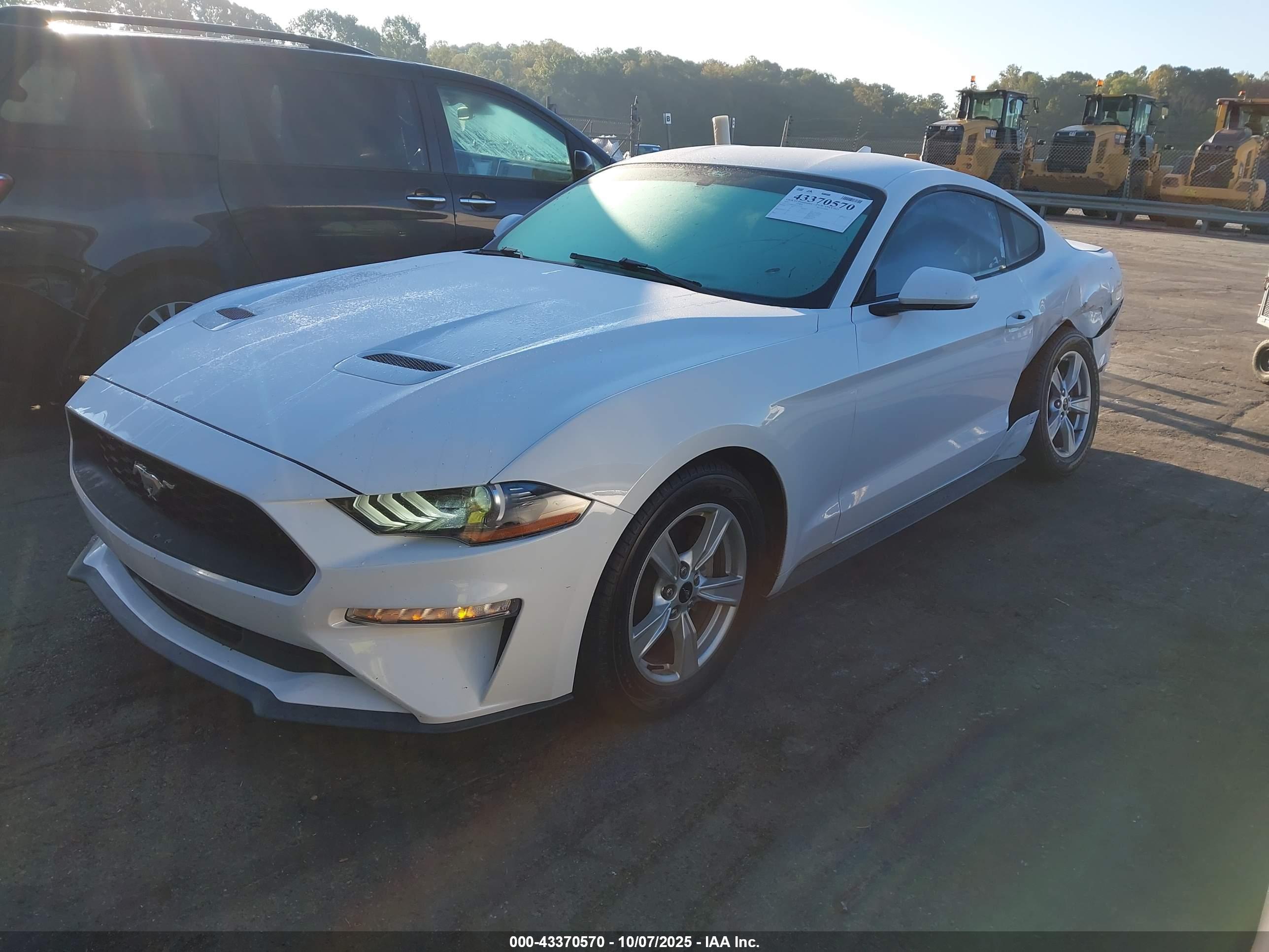 FORD MUSTANG image 2
