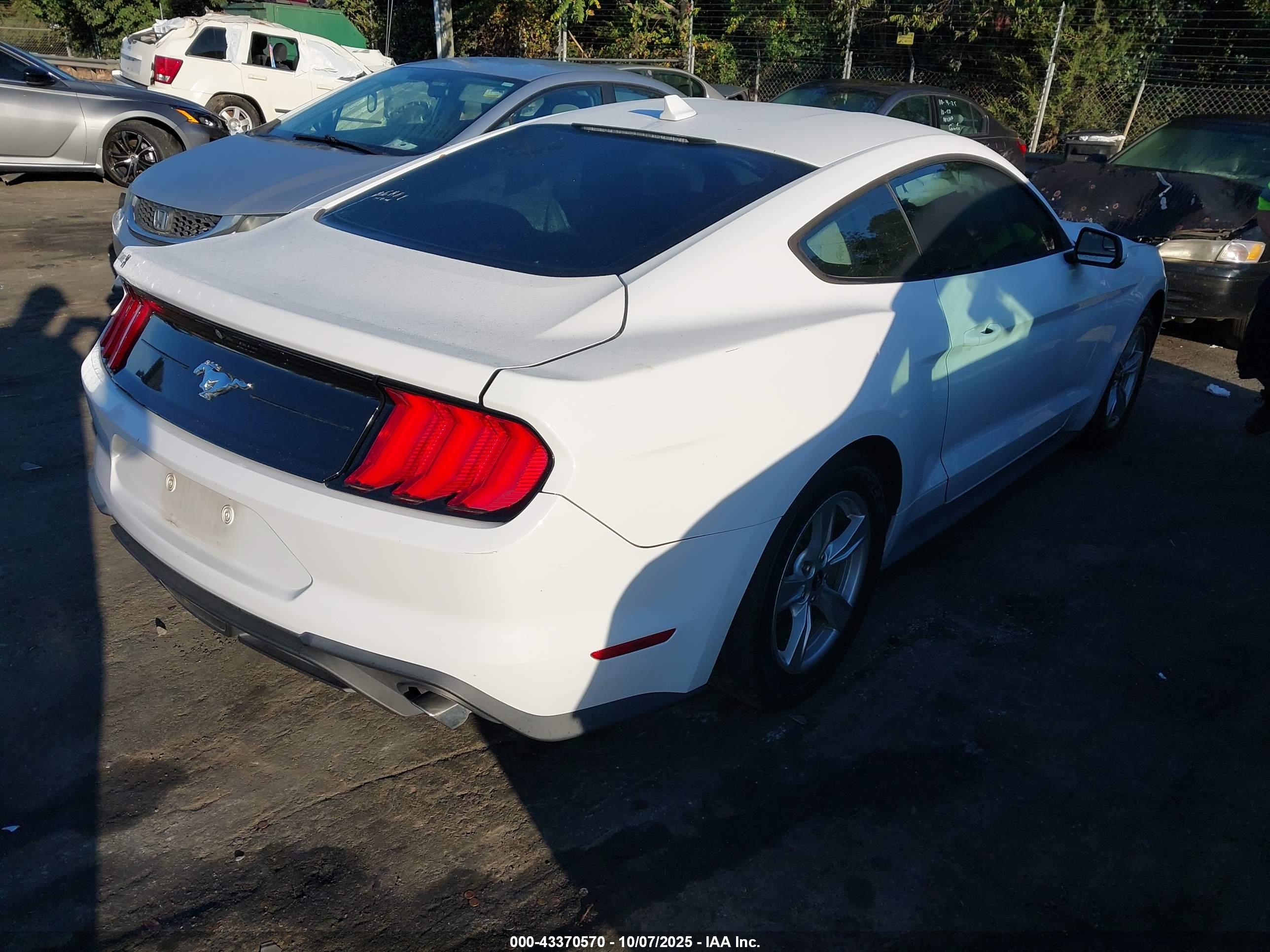 FORD MUSTANG image 4