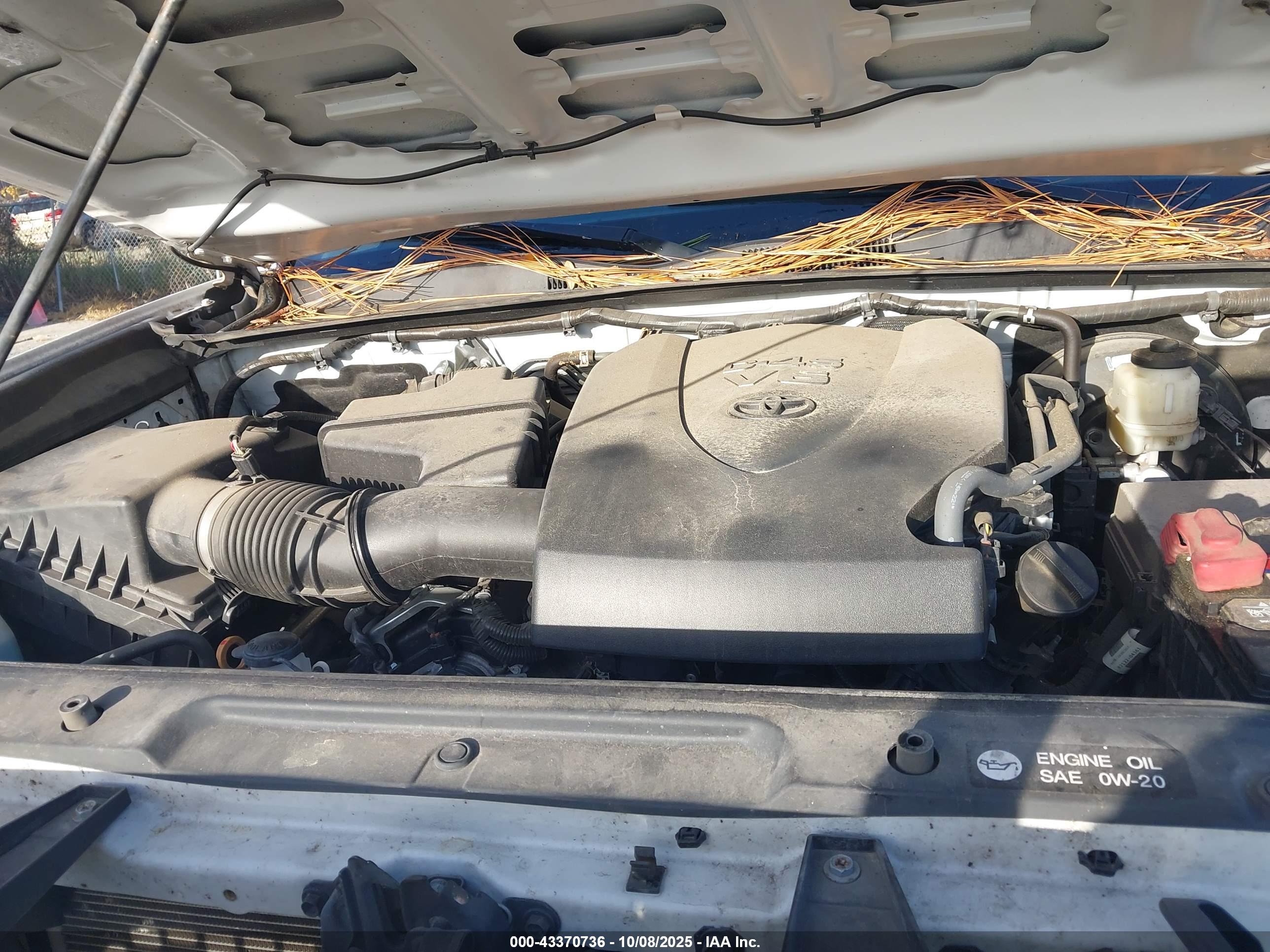 TOYOTA TACOMA image 10