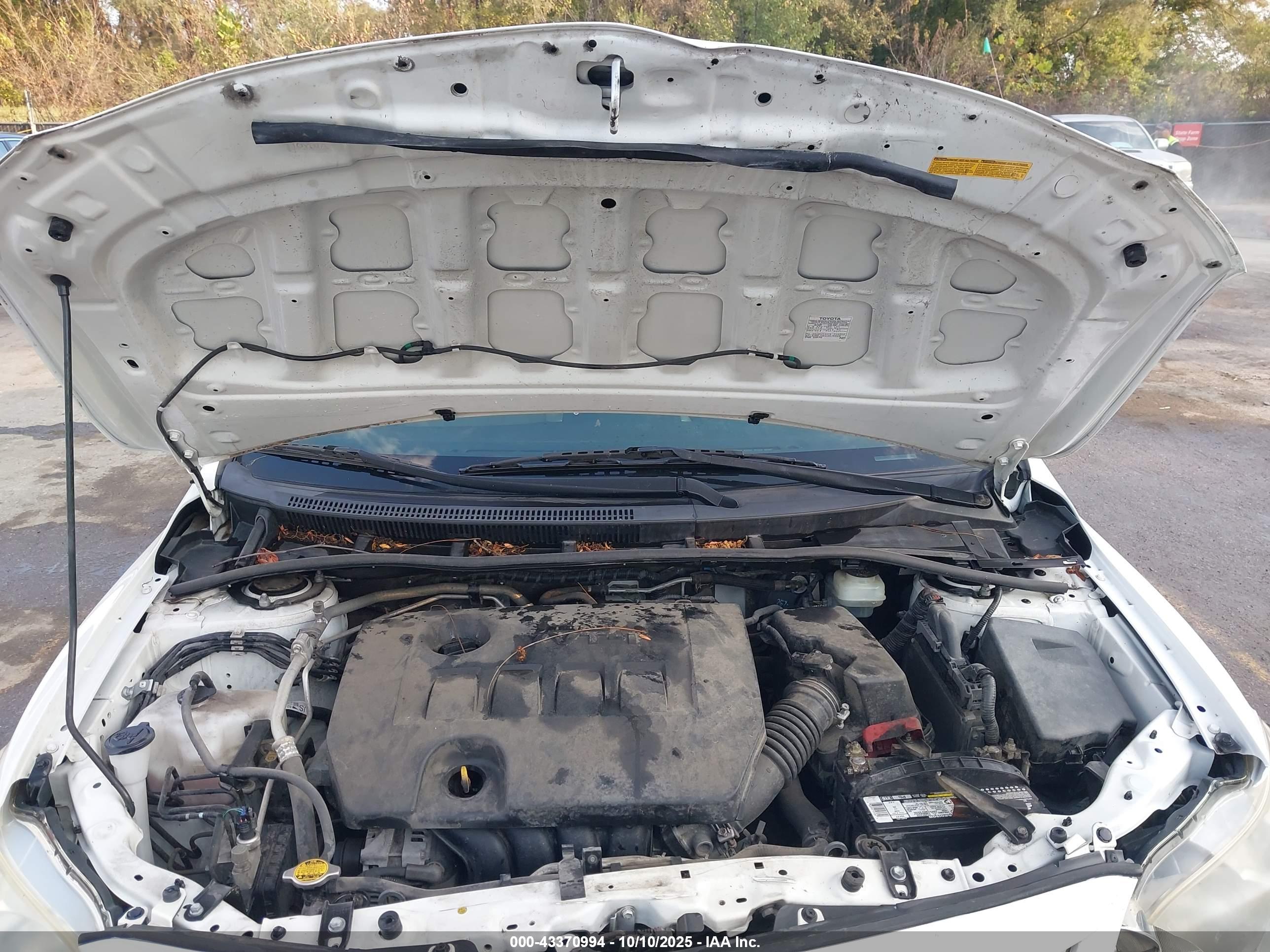 TOYOTA COROLLA image 10