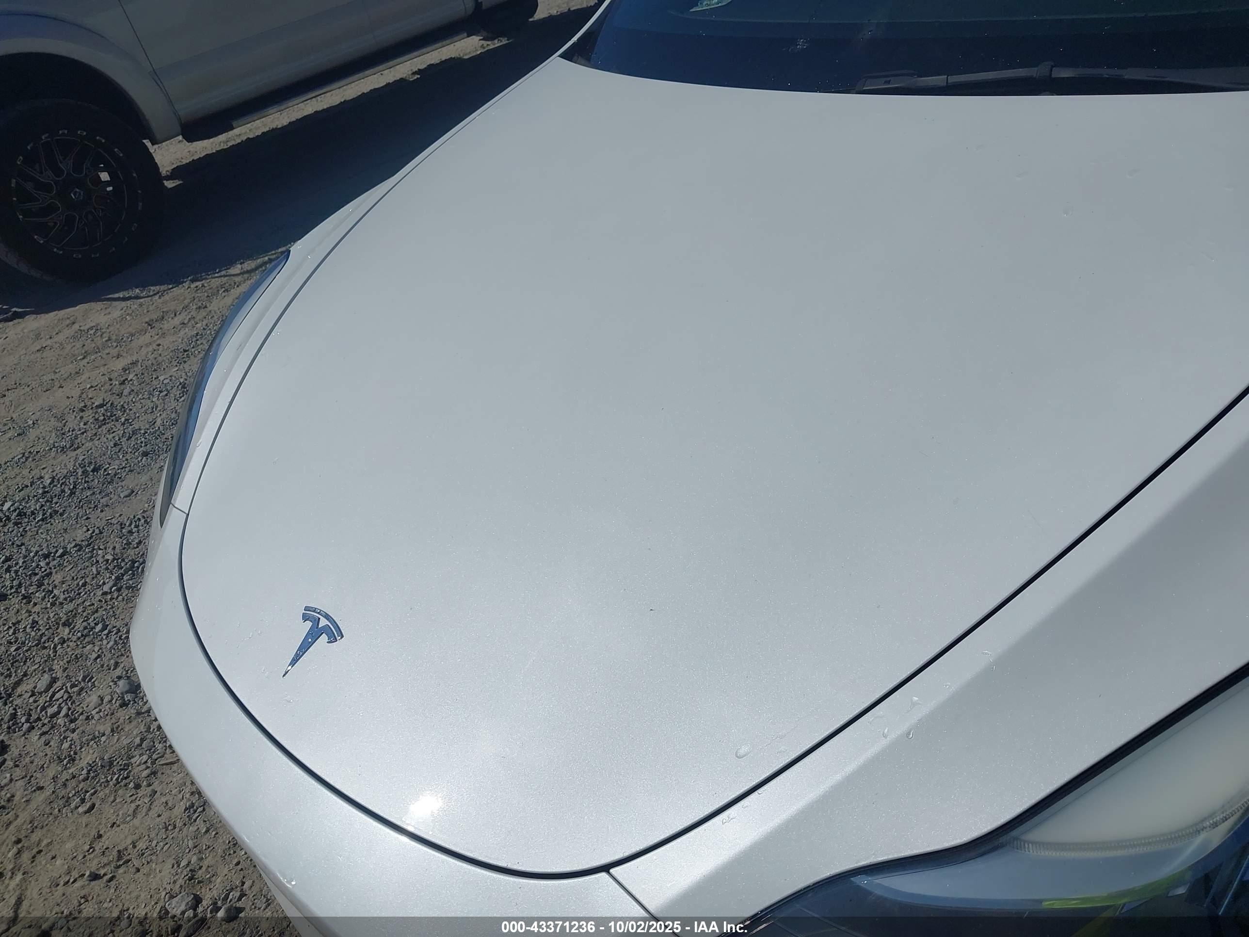 TESLA MODEL image 10