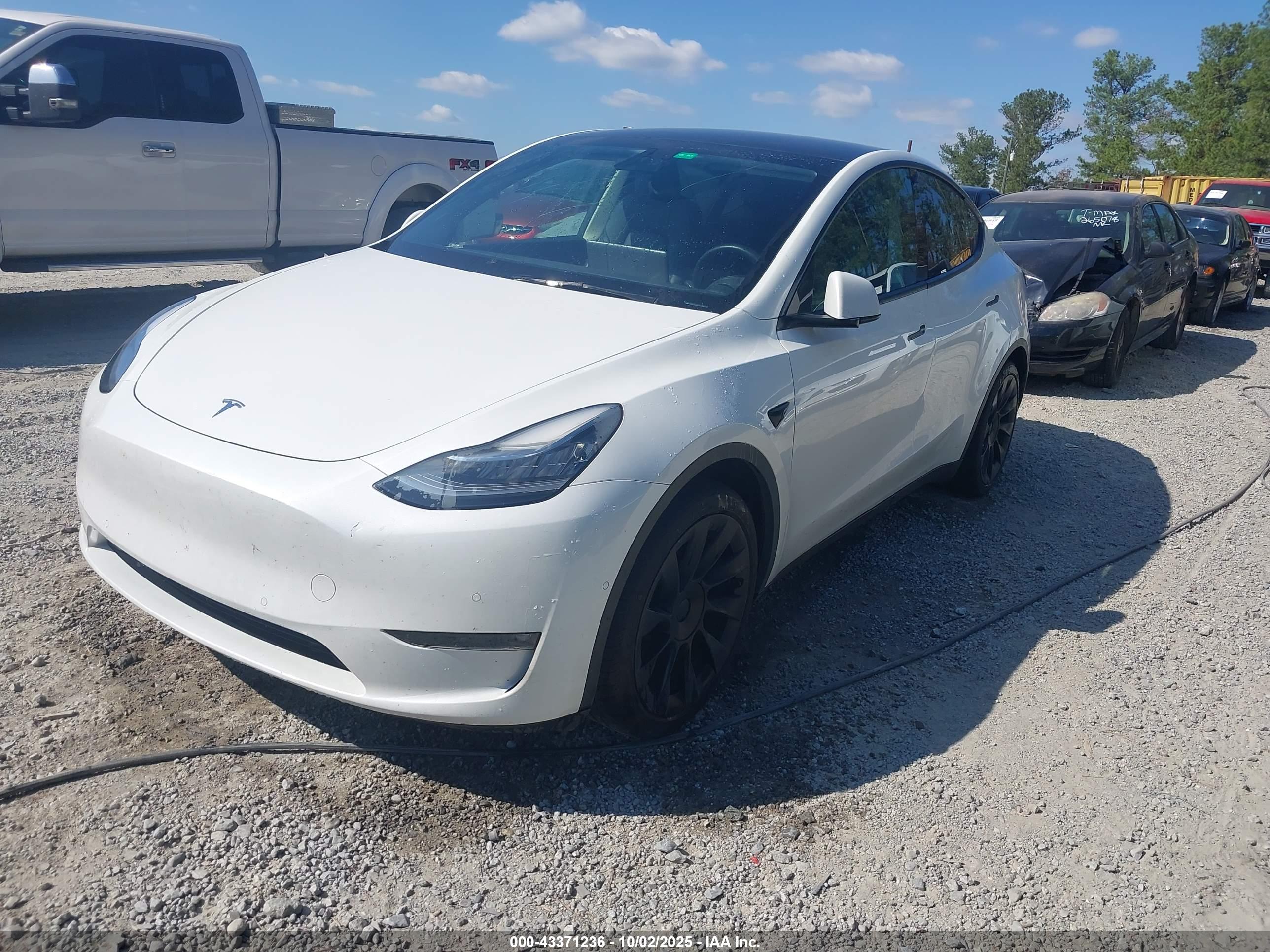 TESLA MODEL image 2