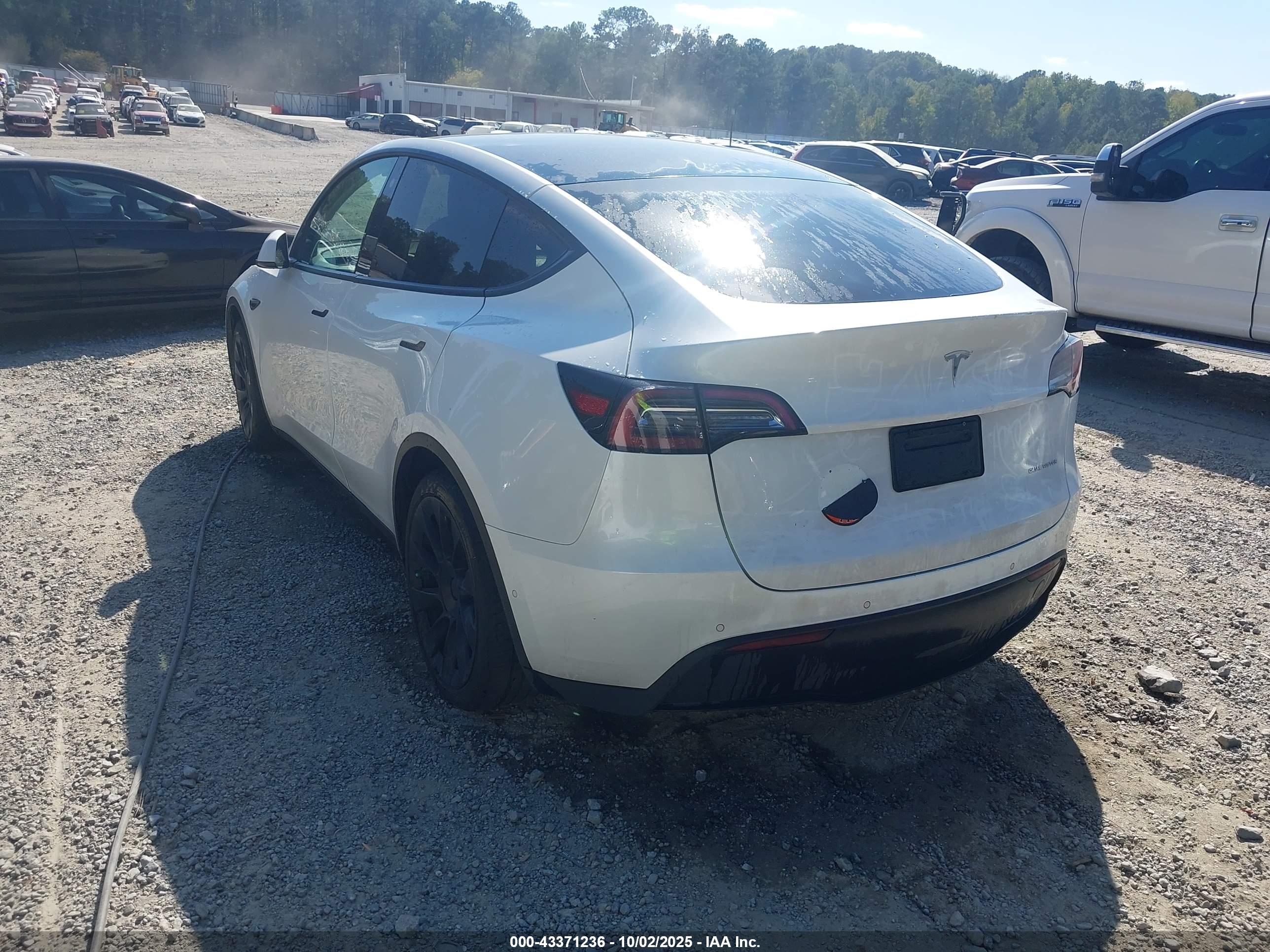 TESLA MODEL image 3