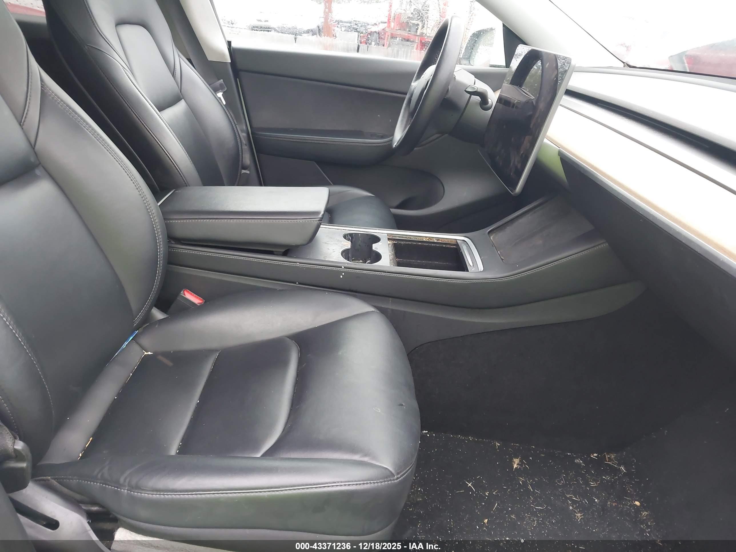 TESLA MODEL image 5