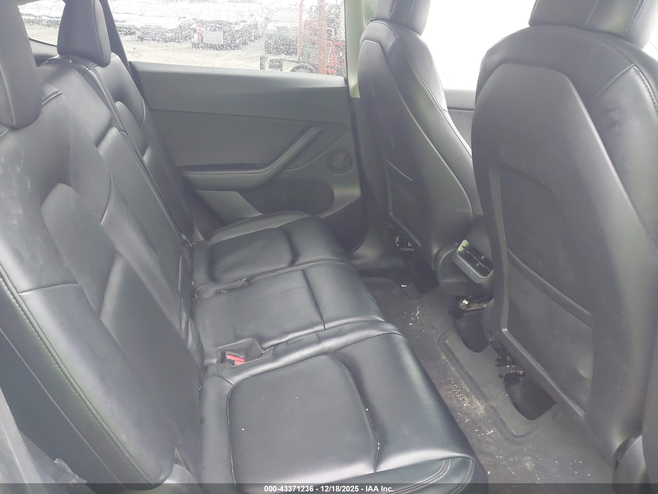 TESLA MODEL image 8