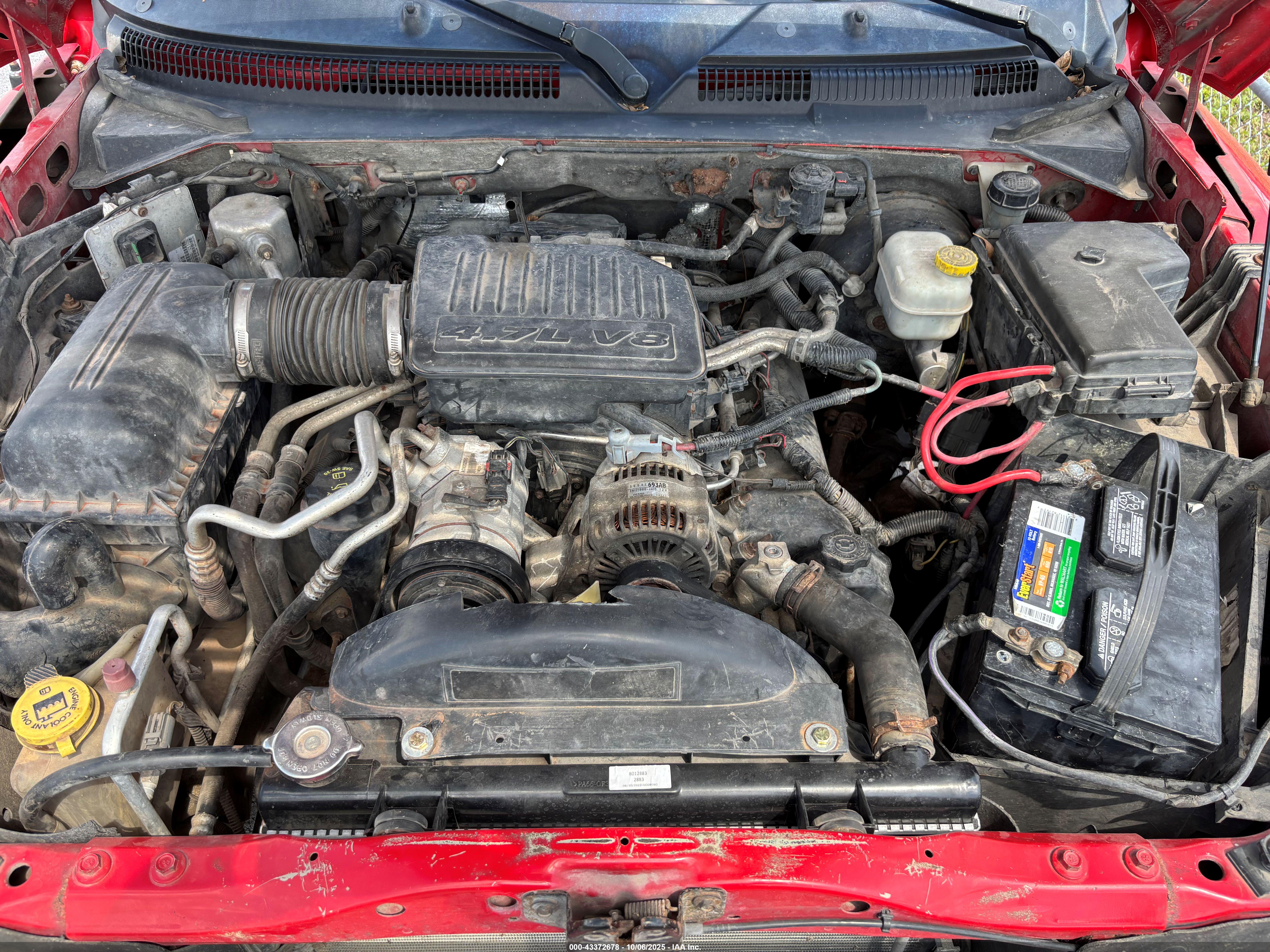 DODGE DAKOTA image 10