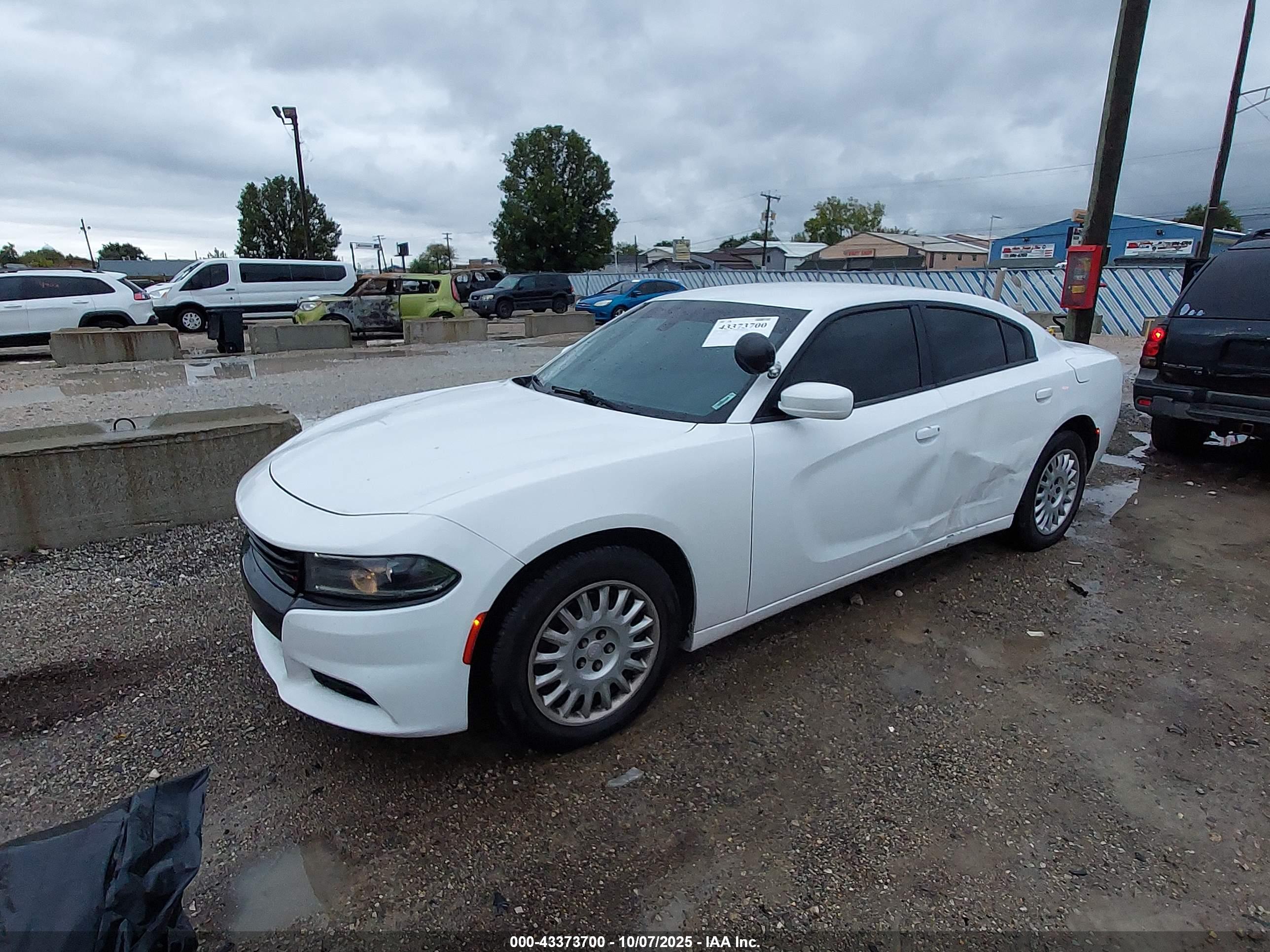 DODGE CHARGER image 2