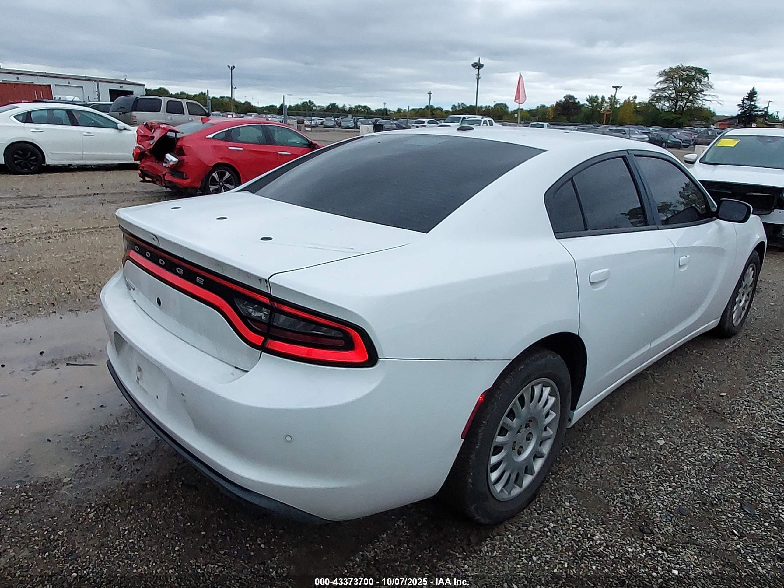 DODGE CHARGER image 4