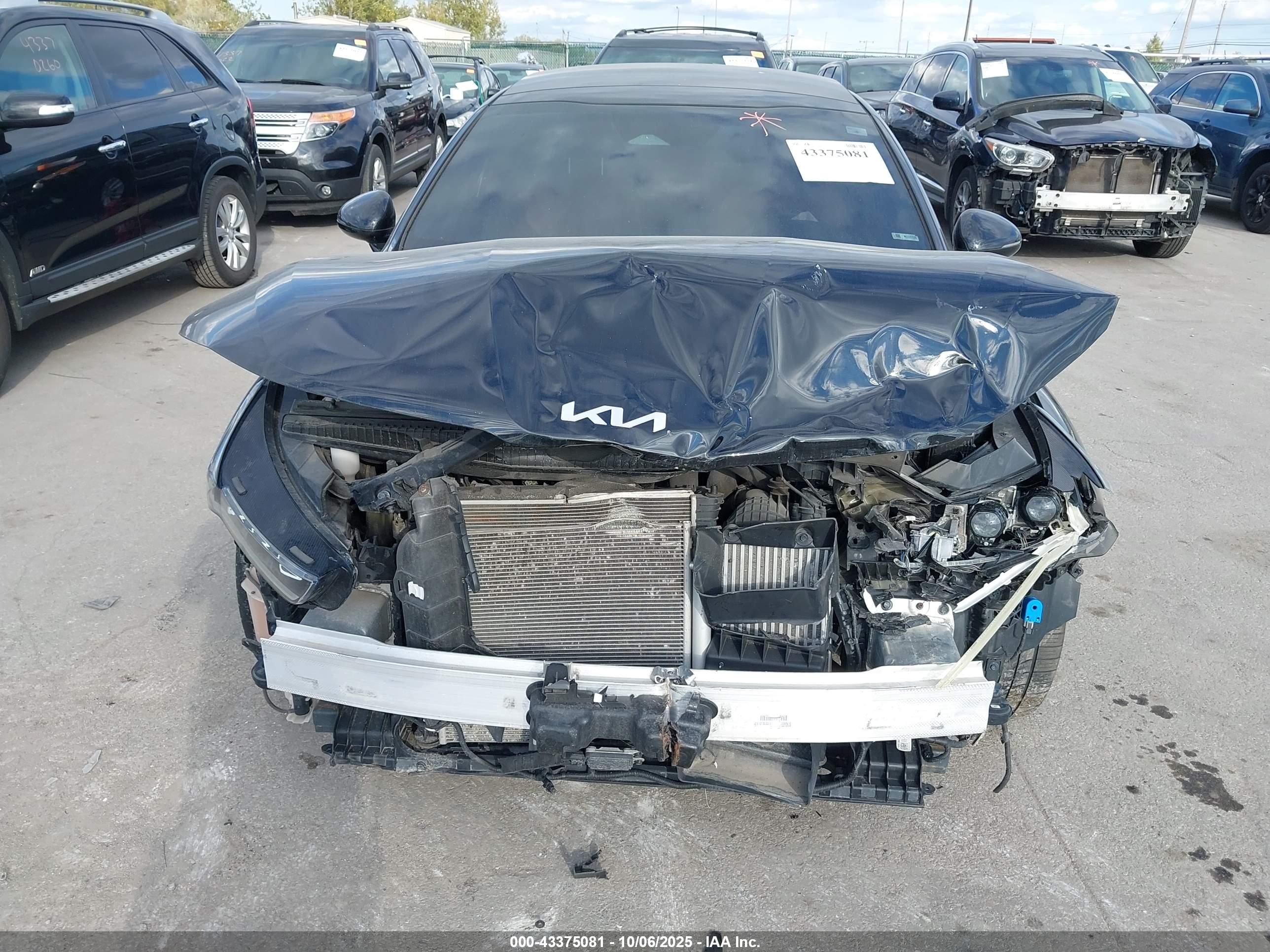 KIA K5 image 6