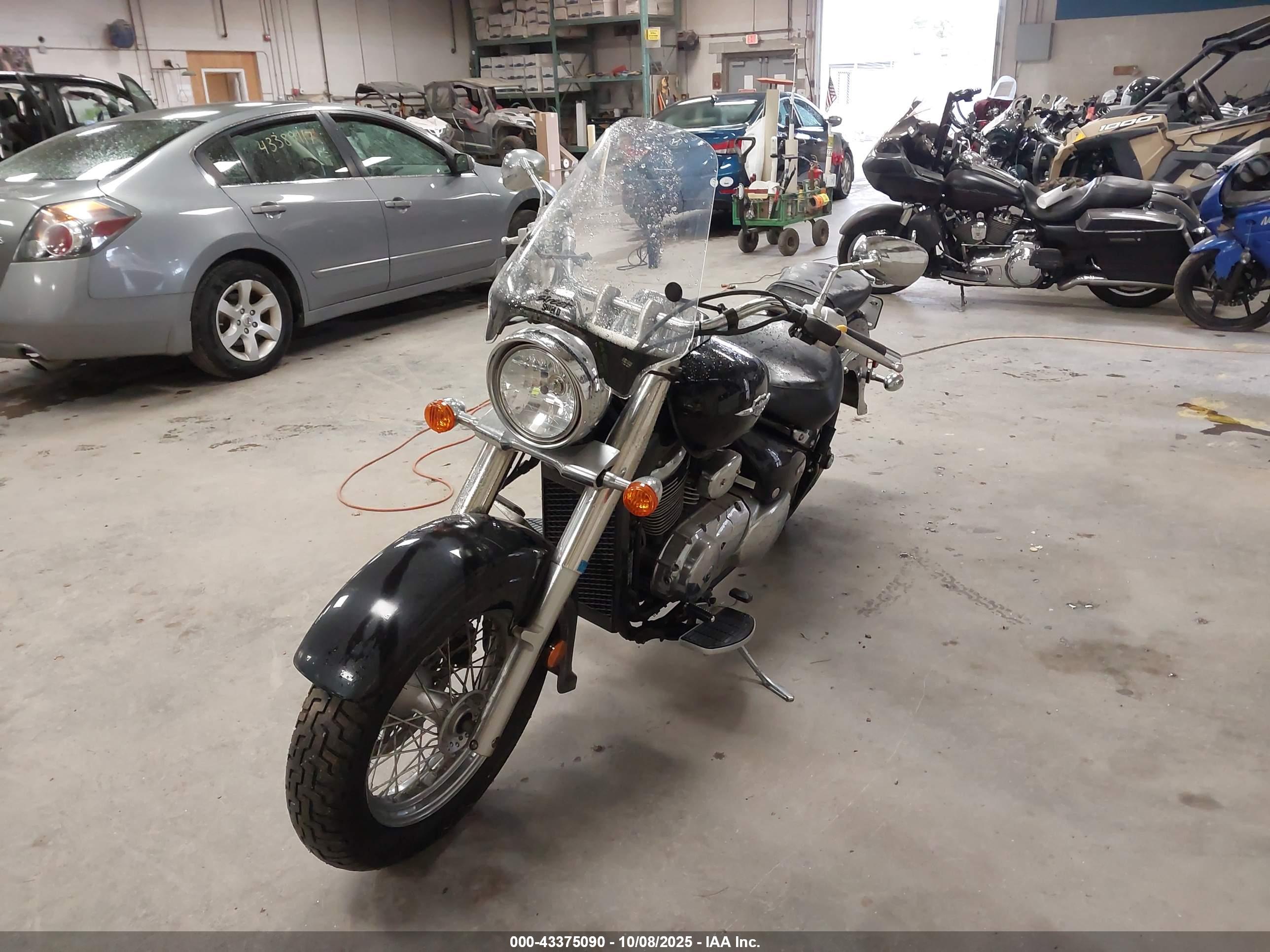 SUZUKI VL800 image 2