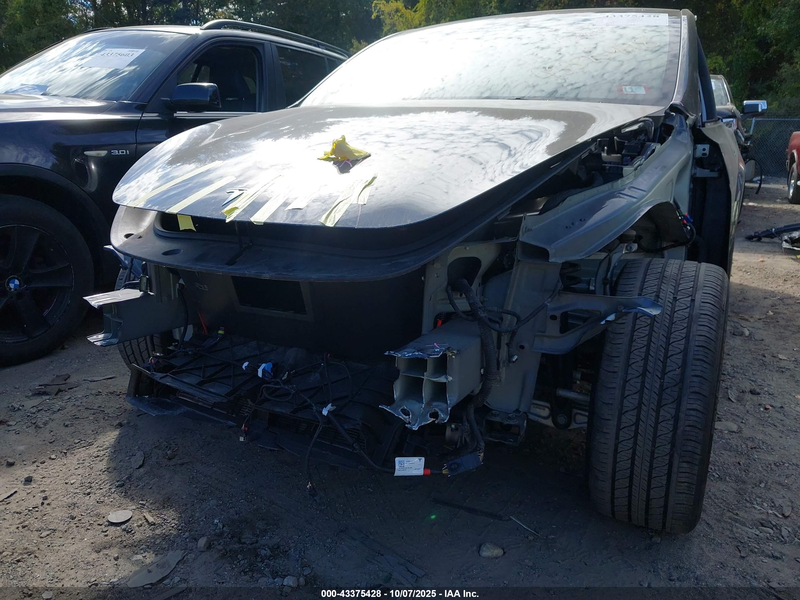 TESLA MODEL image 6