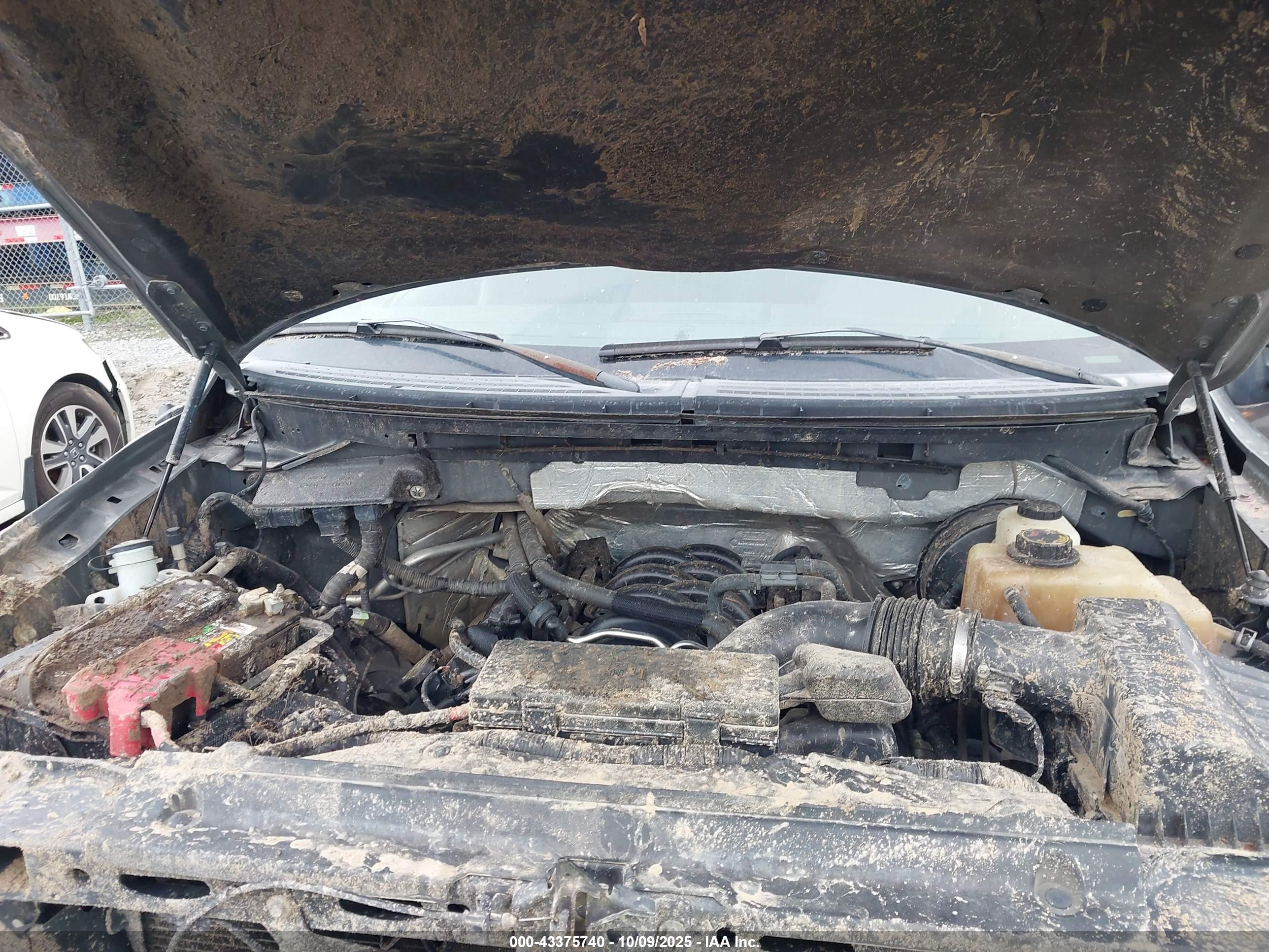 FORD F-150 image 10
