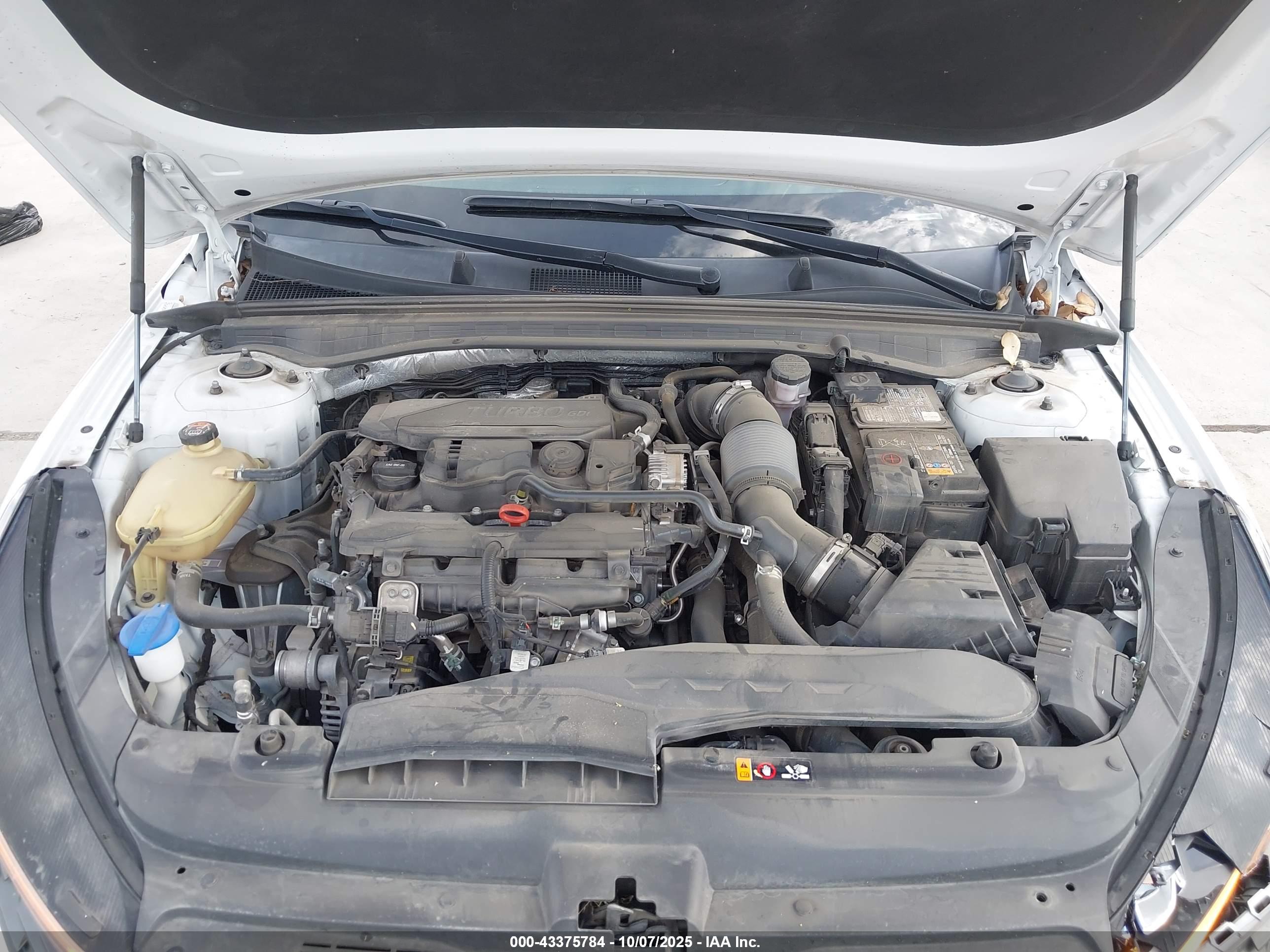 KIA K5 image 10