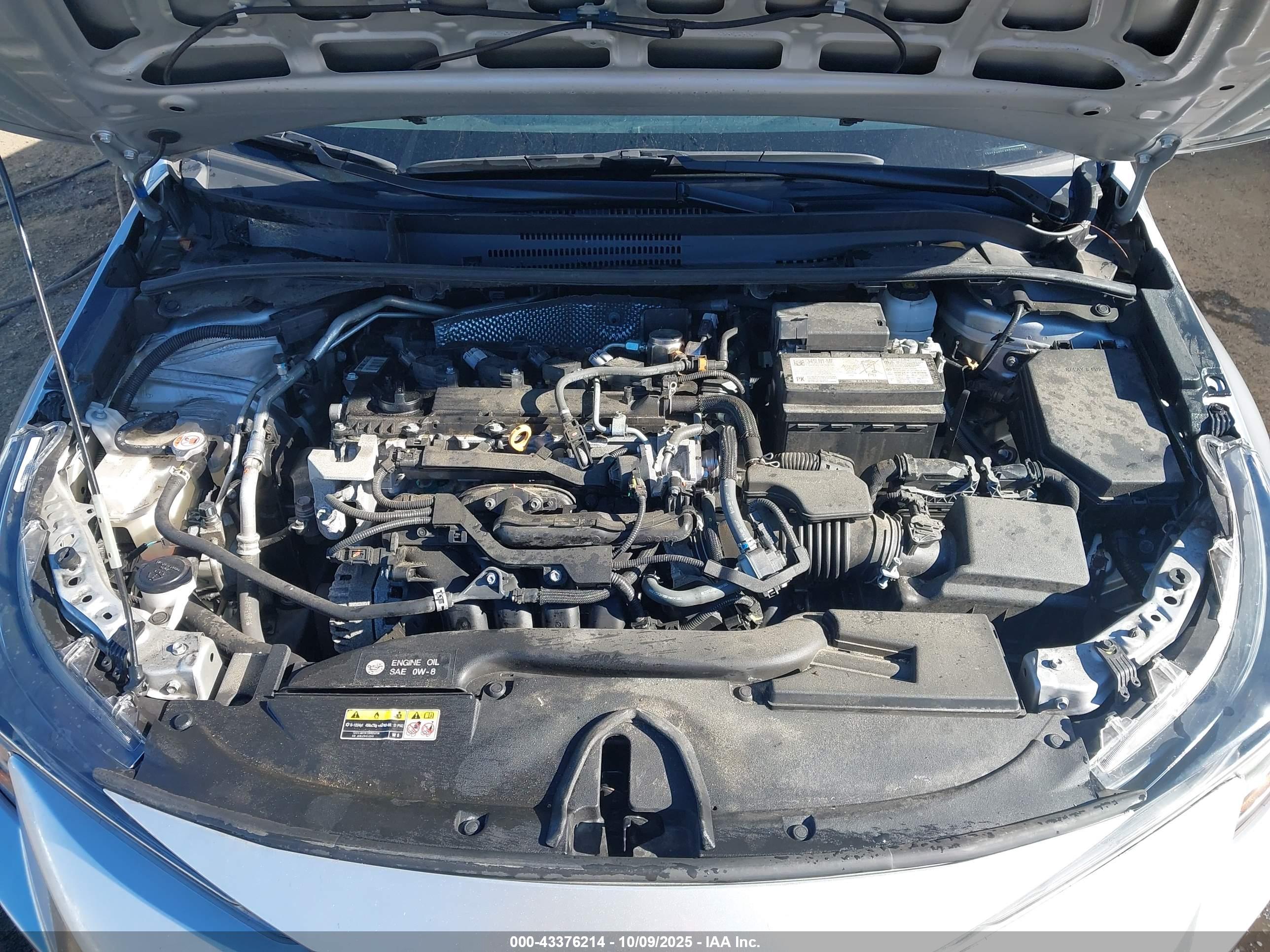 TOYOTA COROLLA image 10