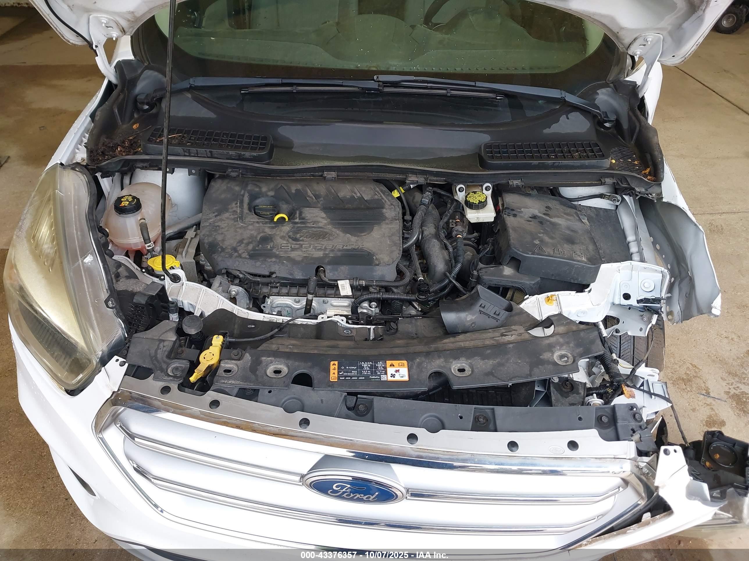 FORD ESCAPE image 10