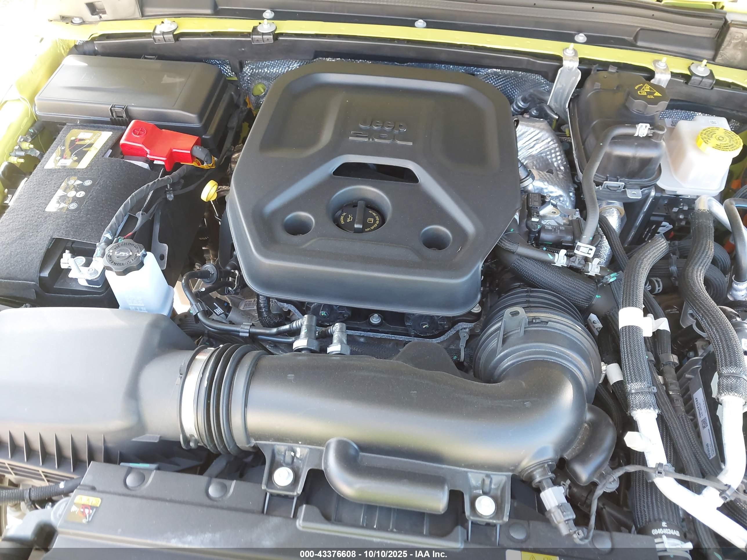 JEEP WRANGLER image 10