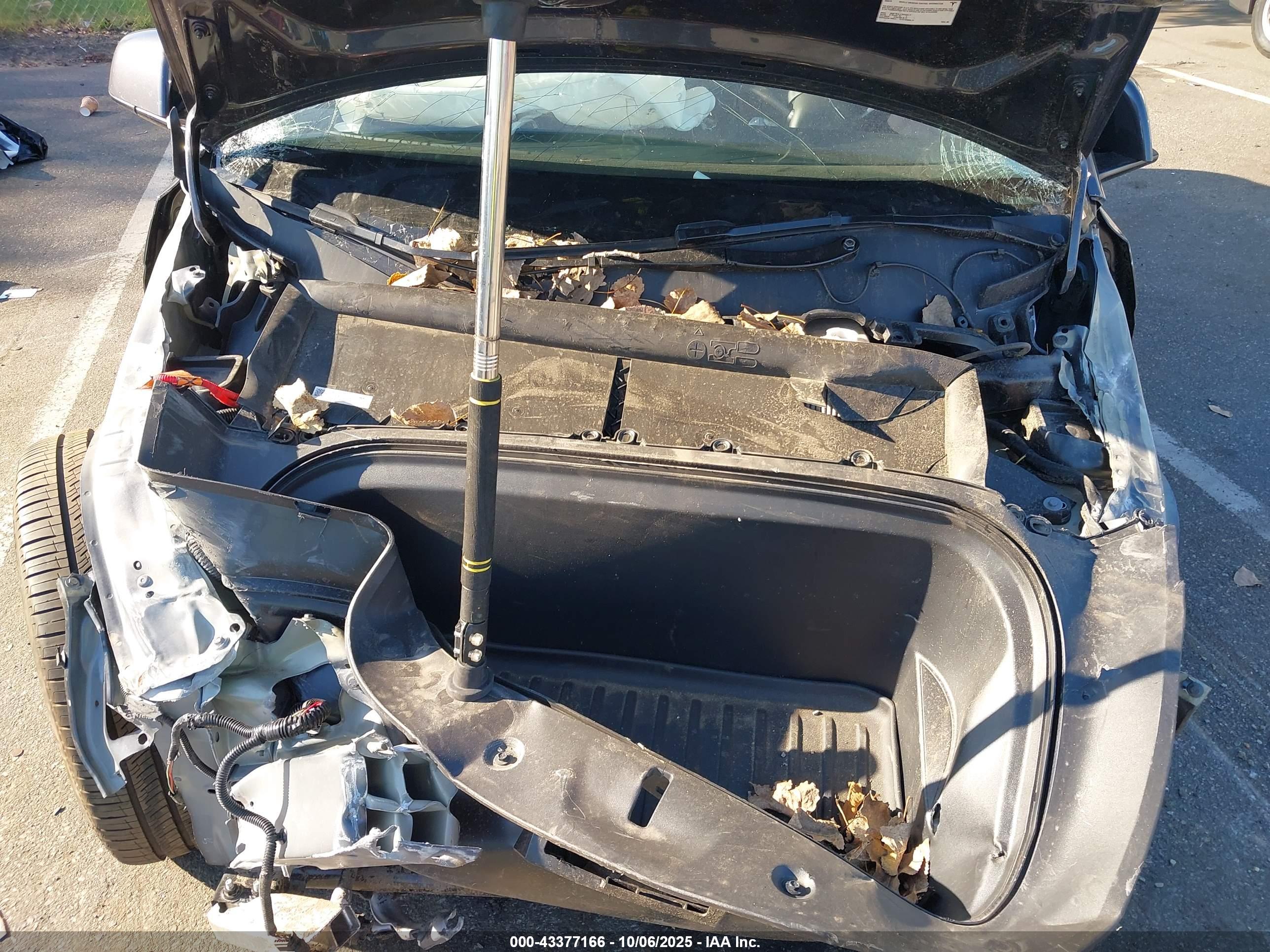 TESLA MODEL image 10