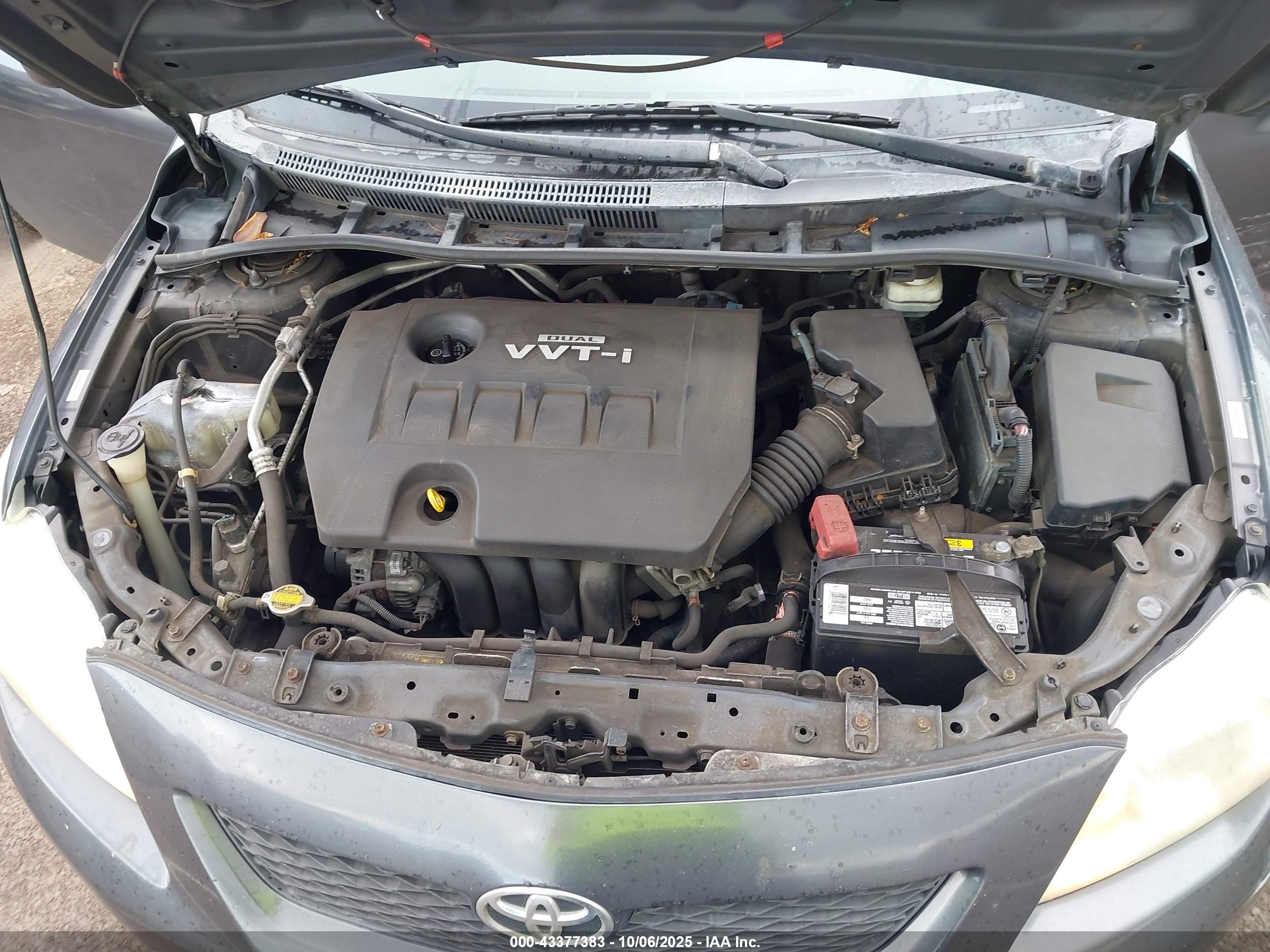 TOYOTA COROLLA image 10