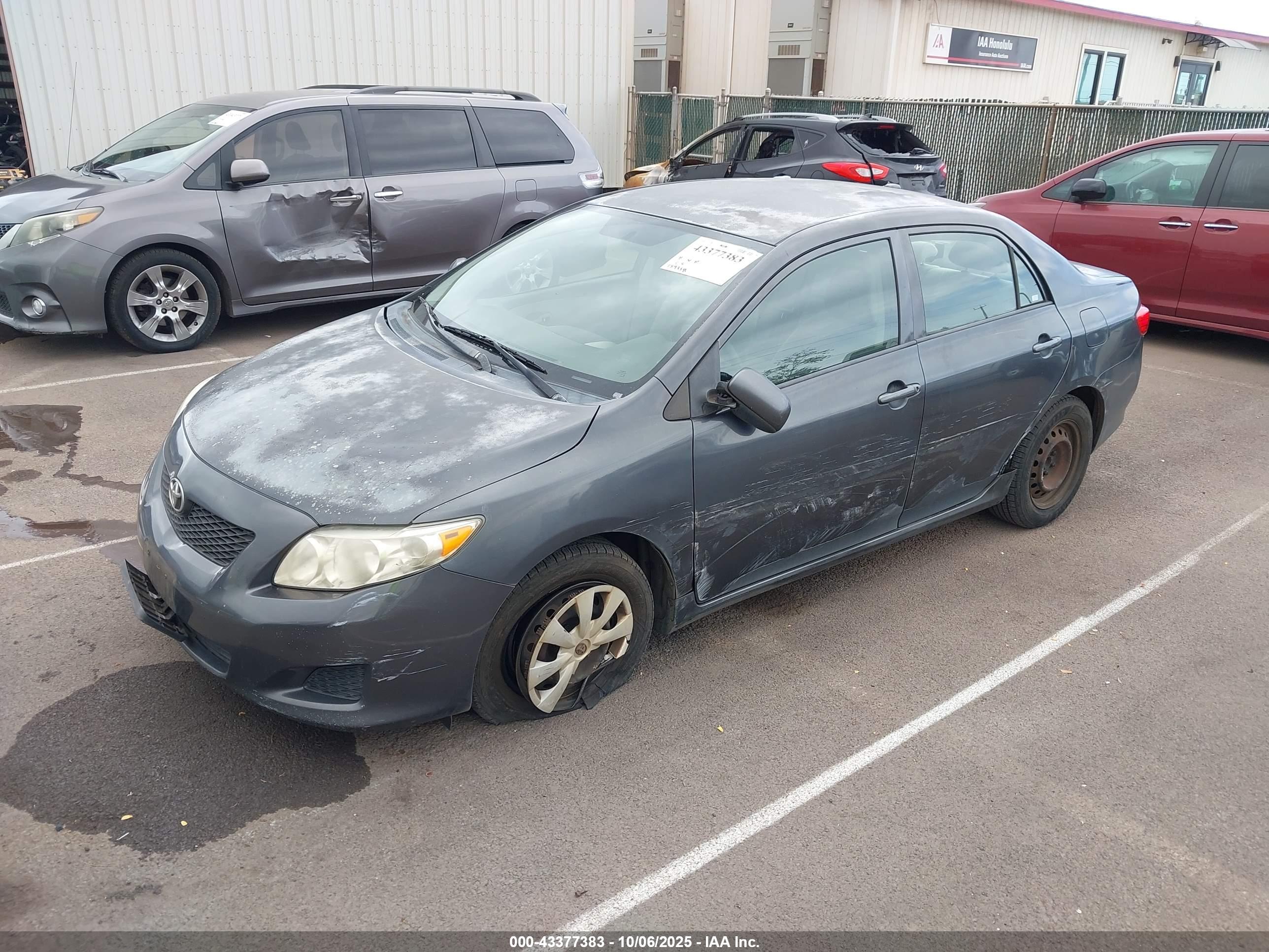 TOYOTA COROLLA image 2