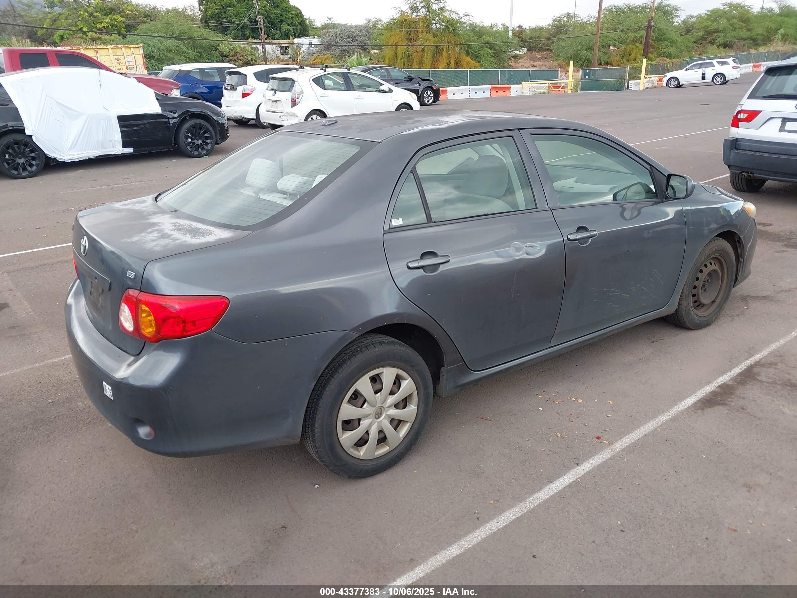 TOYOTA COROLLA image 4