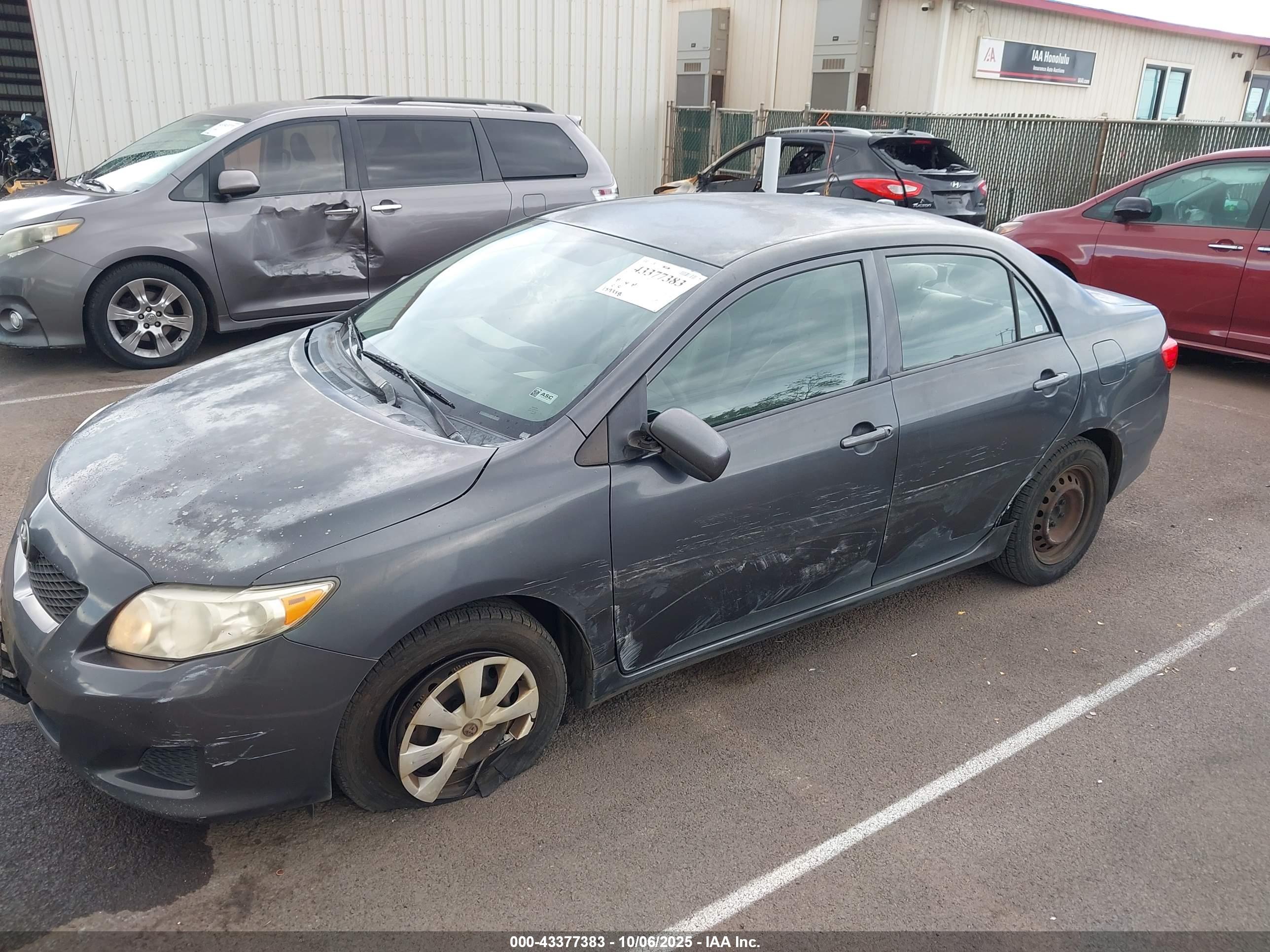 TOYOTA COROLLA image 6