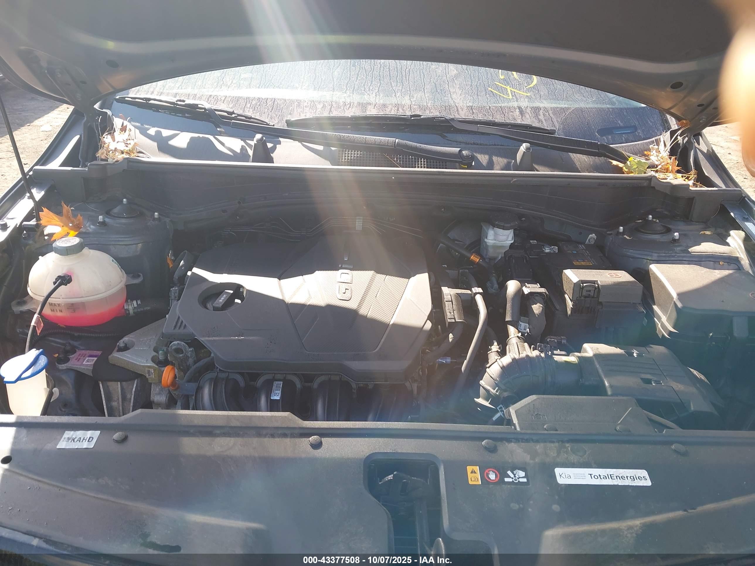 KIA SPORTAGE image 10