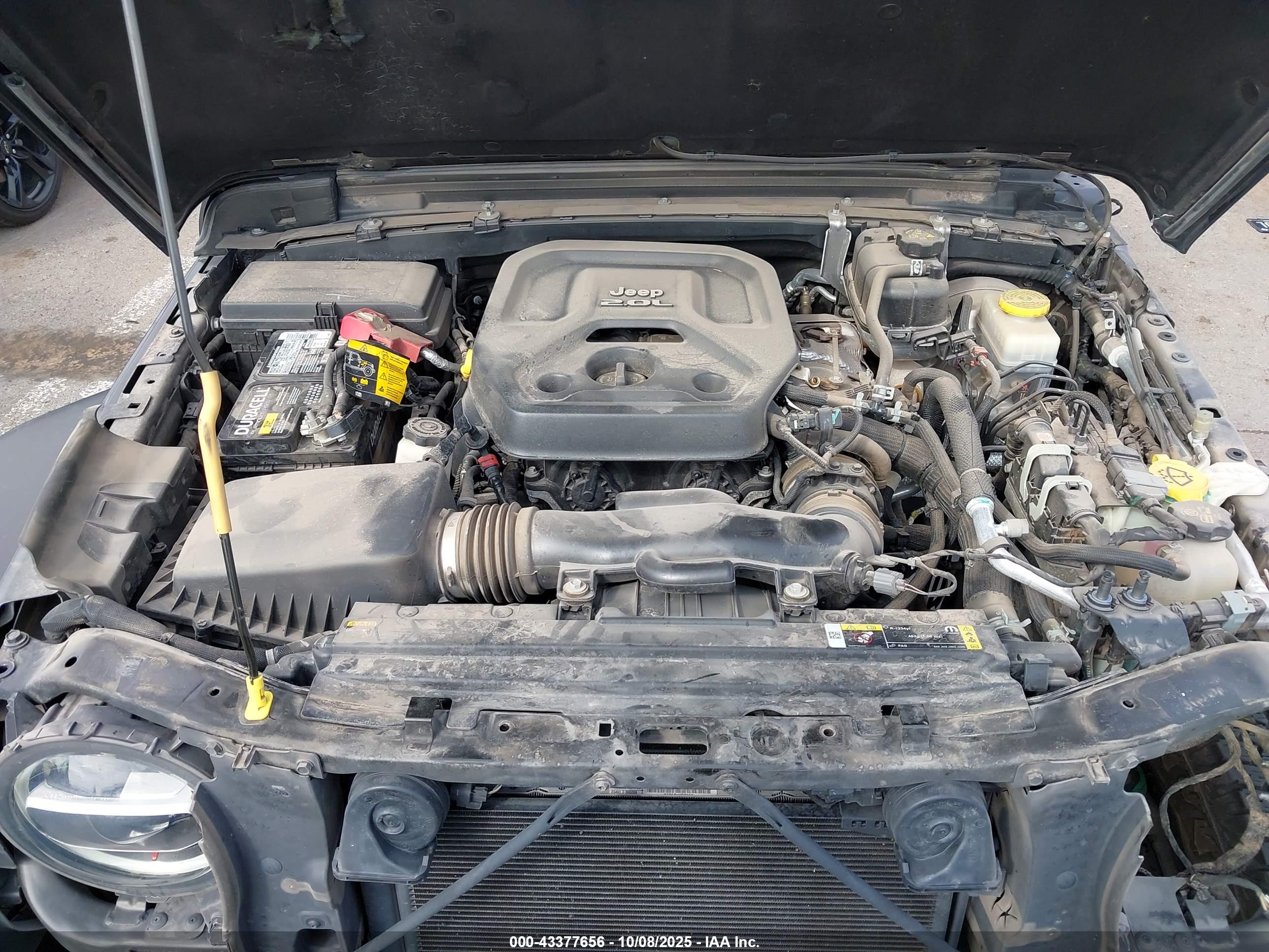 JEEP WRANGLER image 10