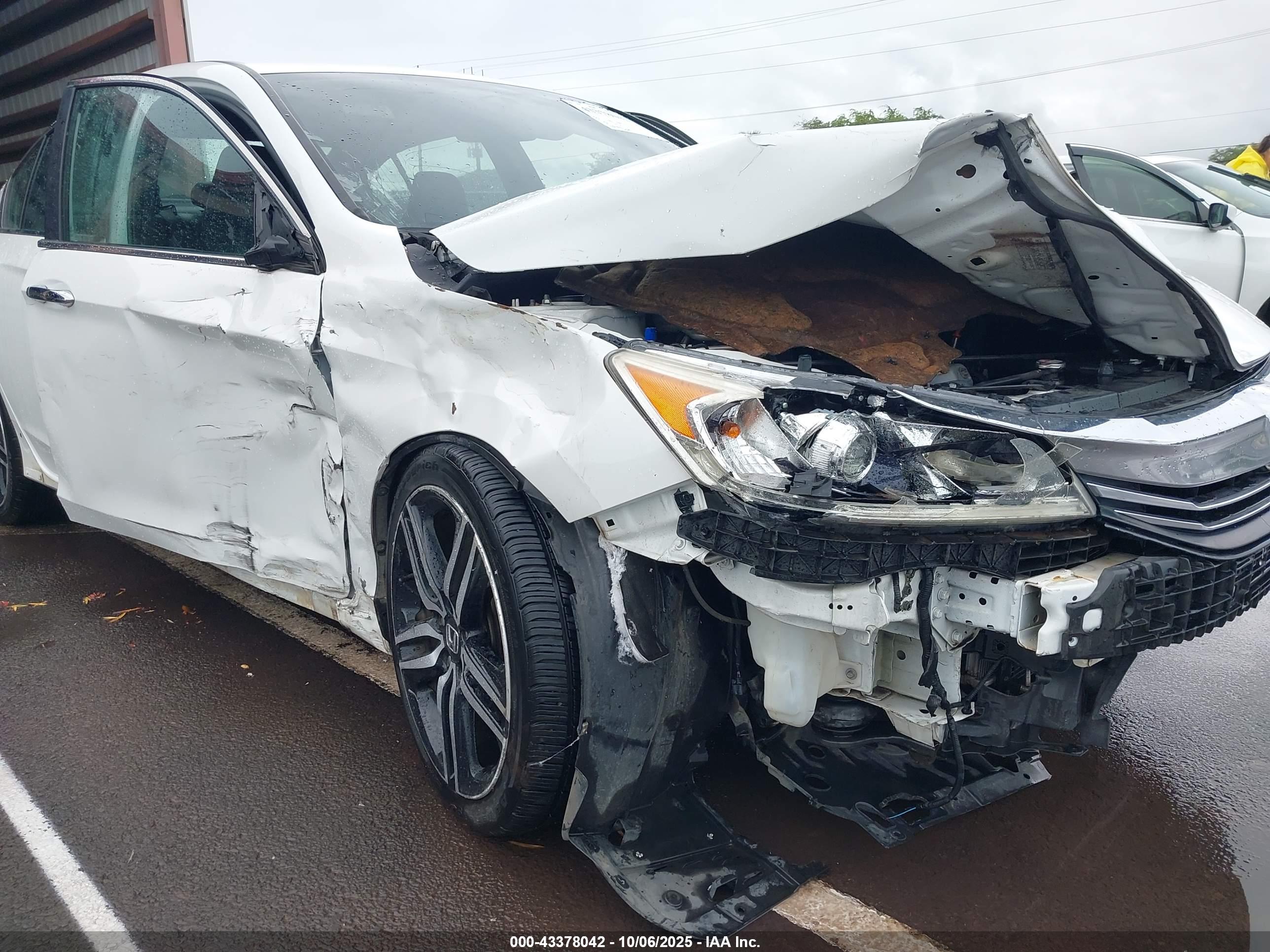 HONDA ACCORD image 6