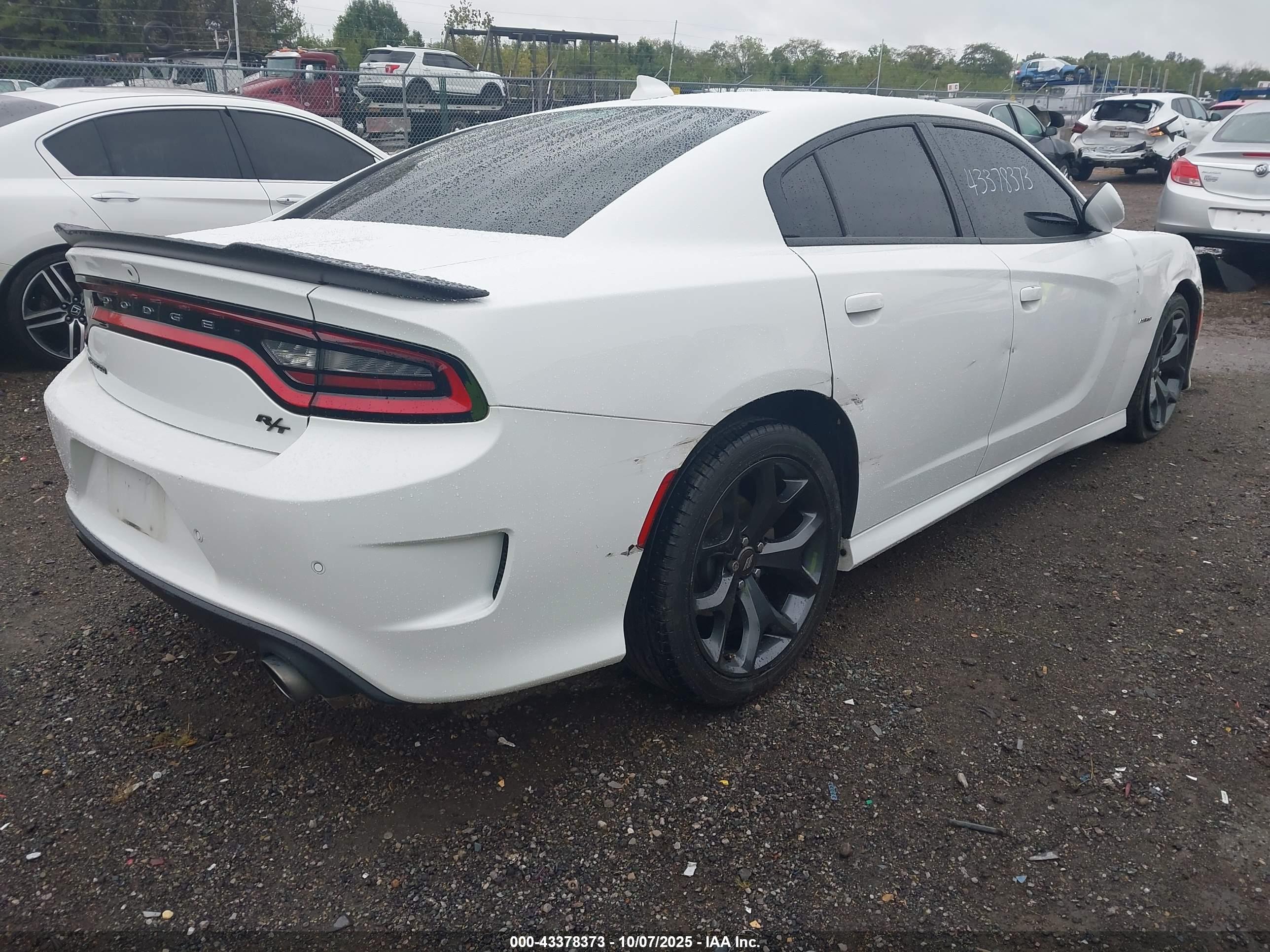 DODGE CHARGER image 4