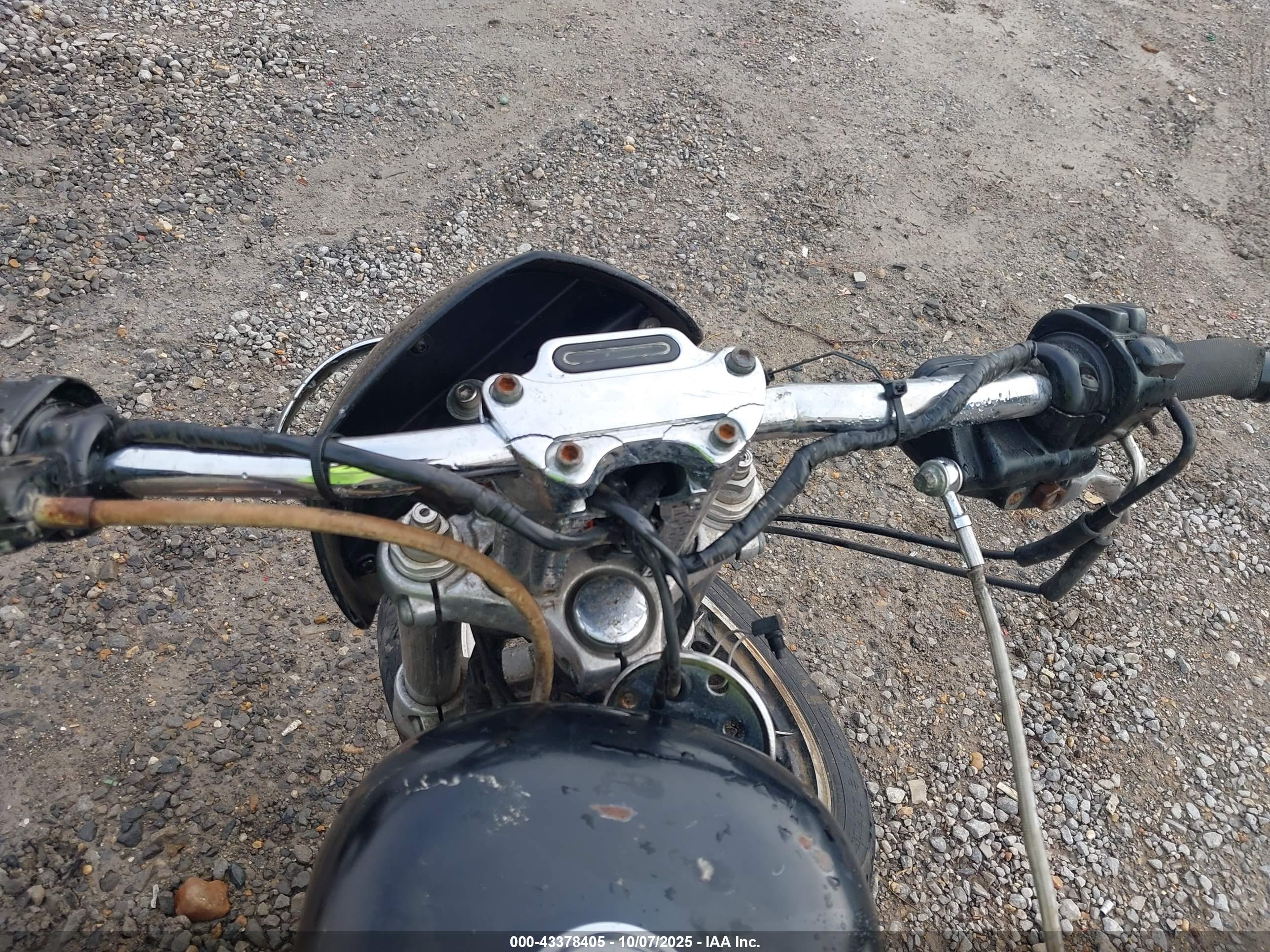 HARLEY-DAVIDSON XL1200 image 7