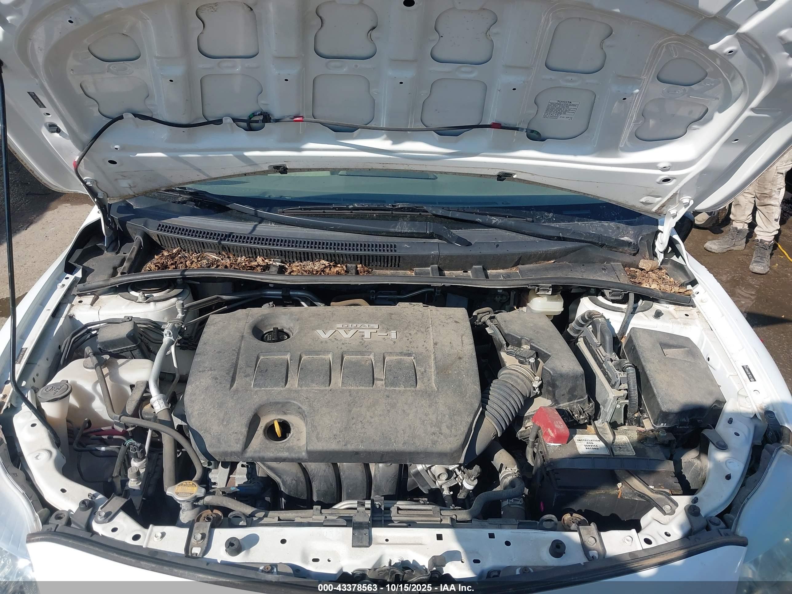 TOYOTA COROLLA image 10
