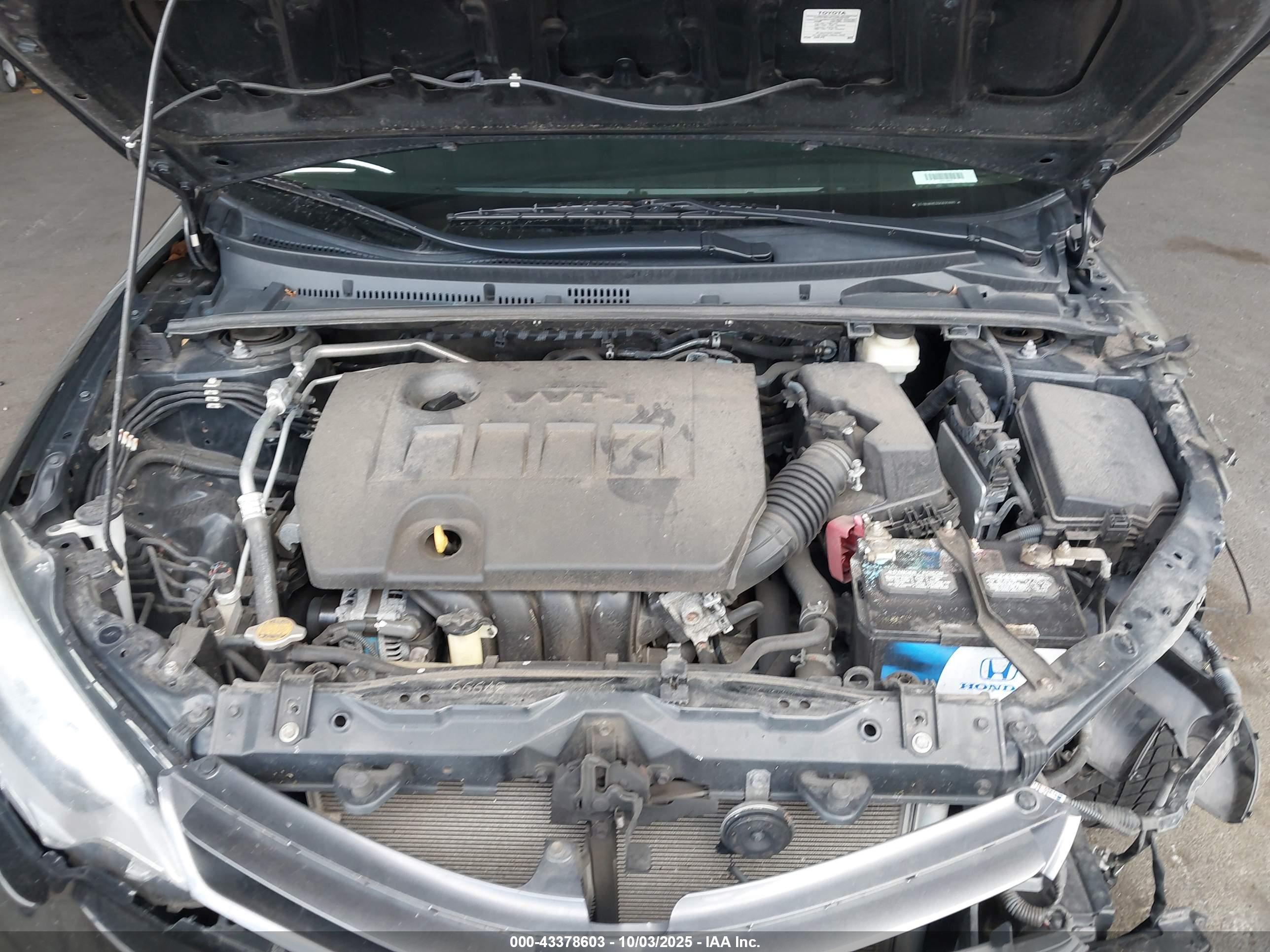 TOYOTA COROLLA image 10