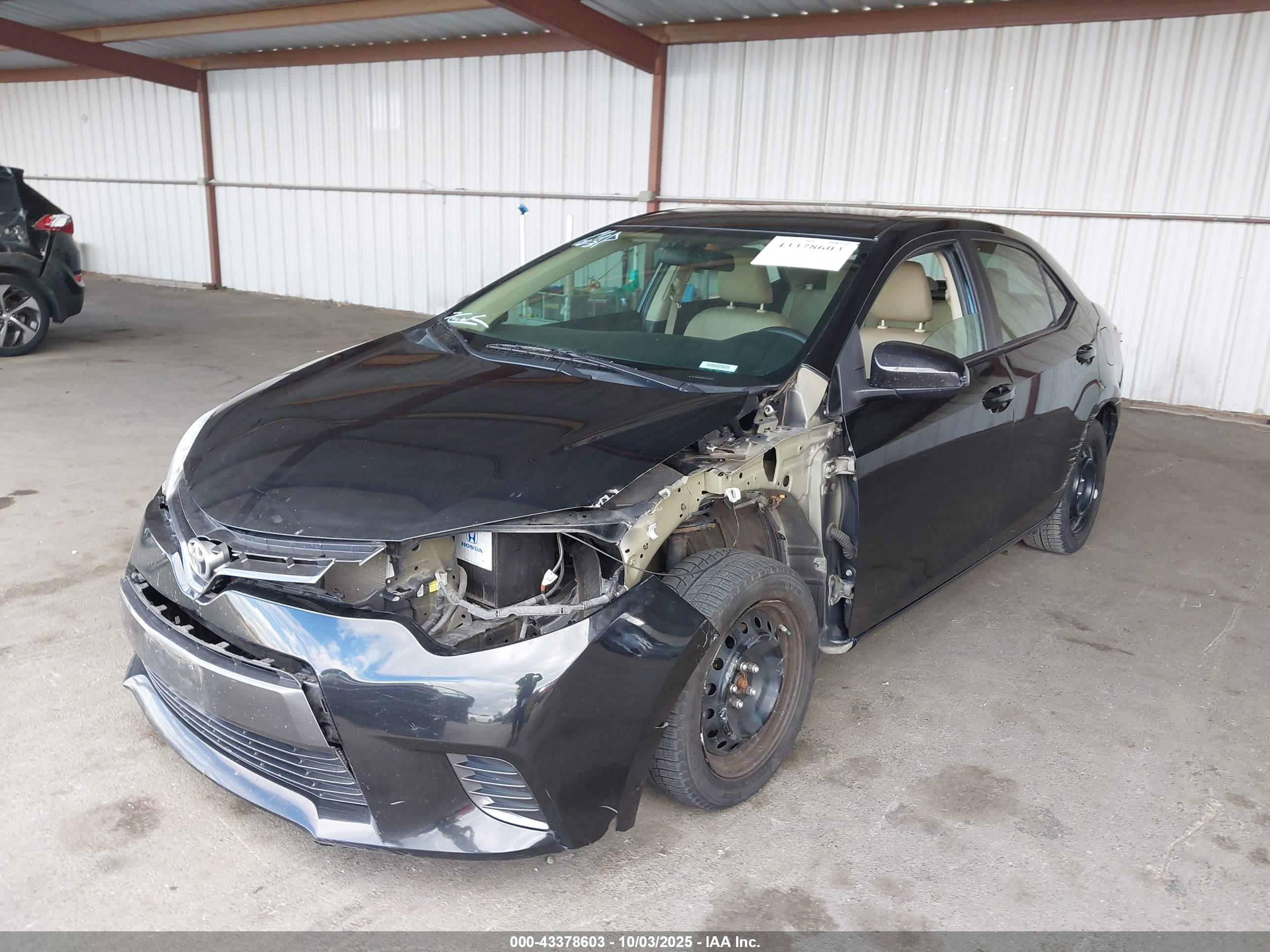 TOYOTA COROLLA image 6