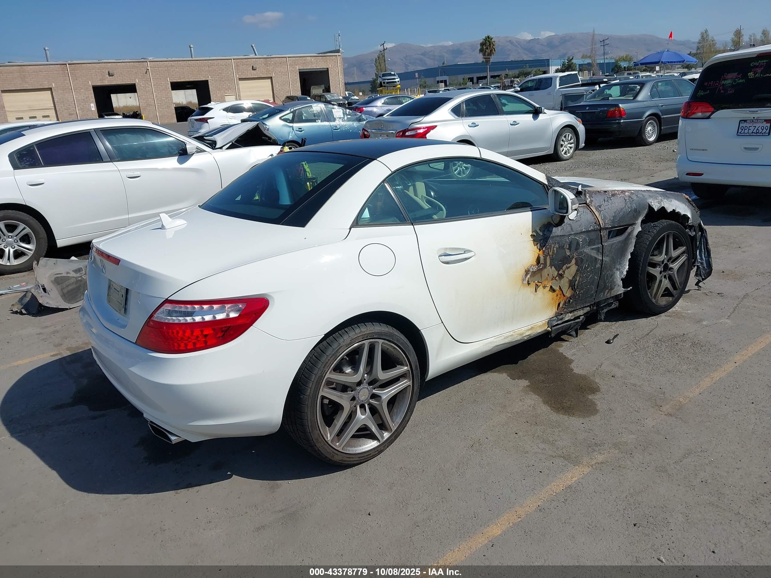 MERCEDES-BENZ SLK image 4