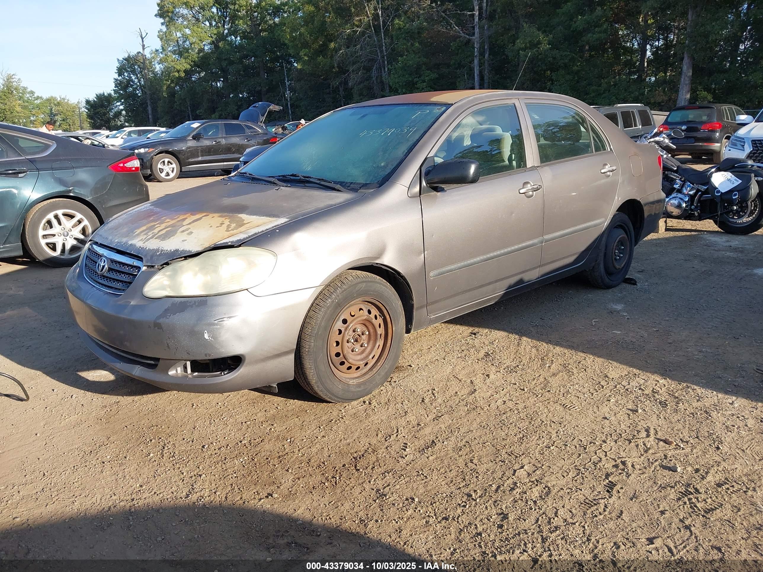TOYOTA COROLLA image 2
