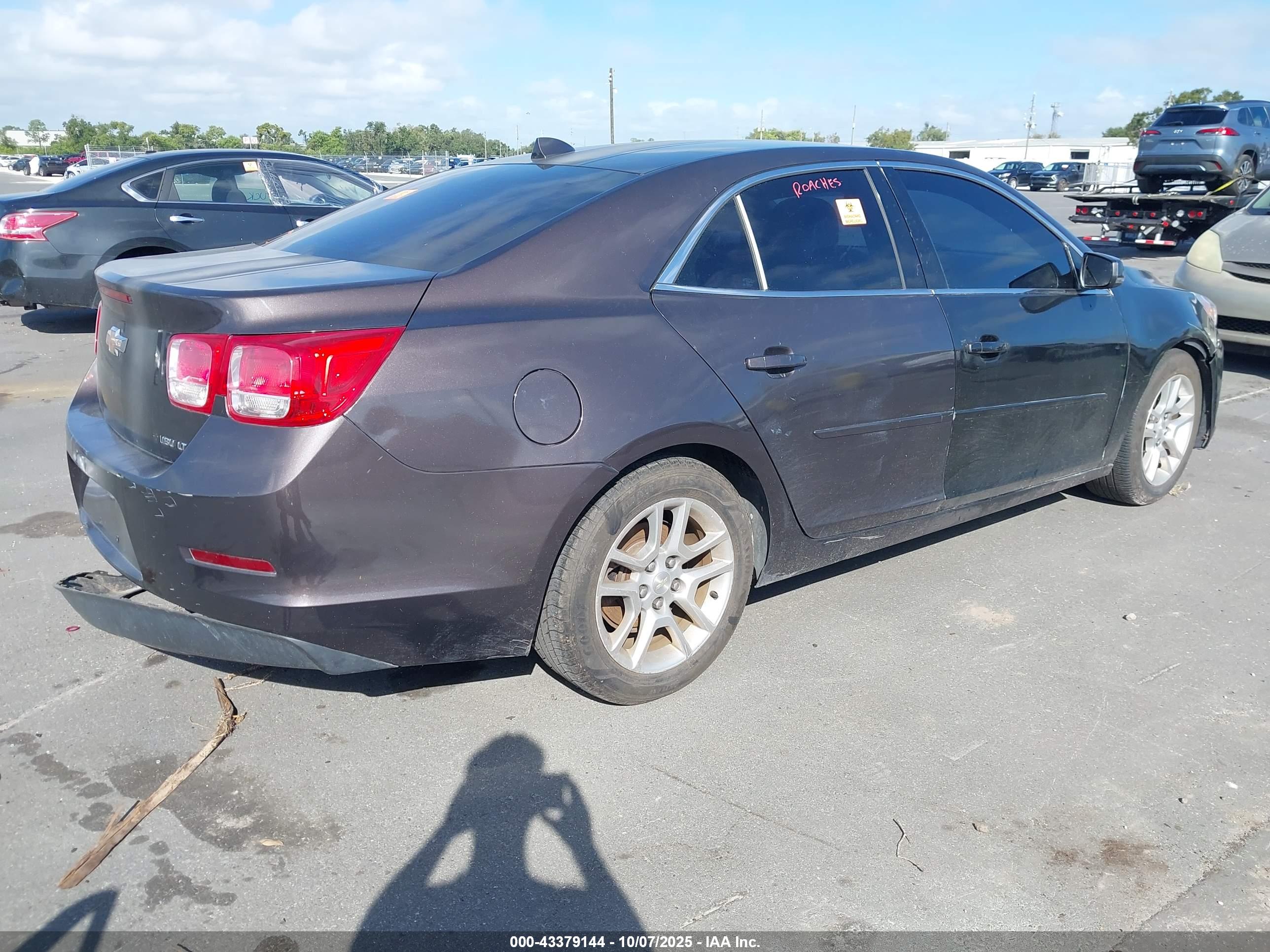 CHEVROLET MALIBU image 4