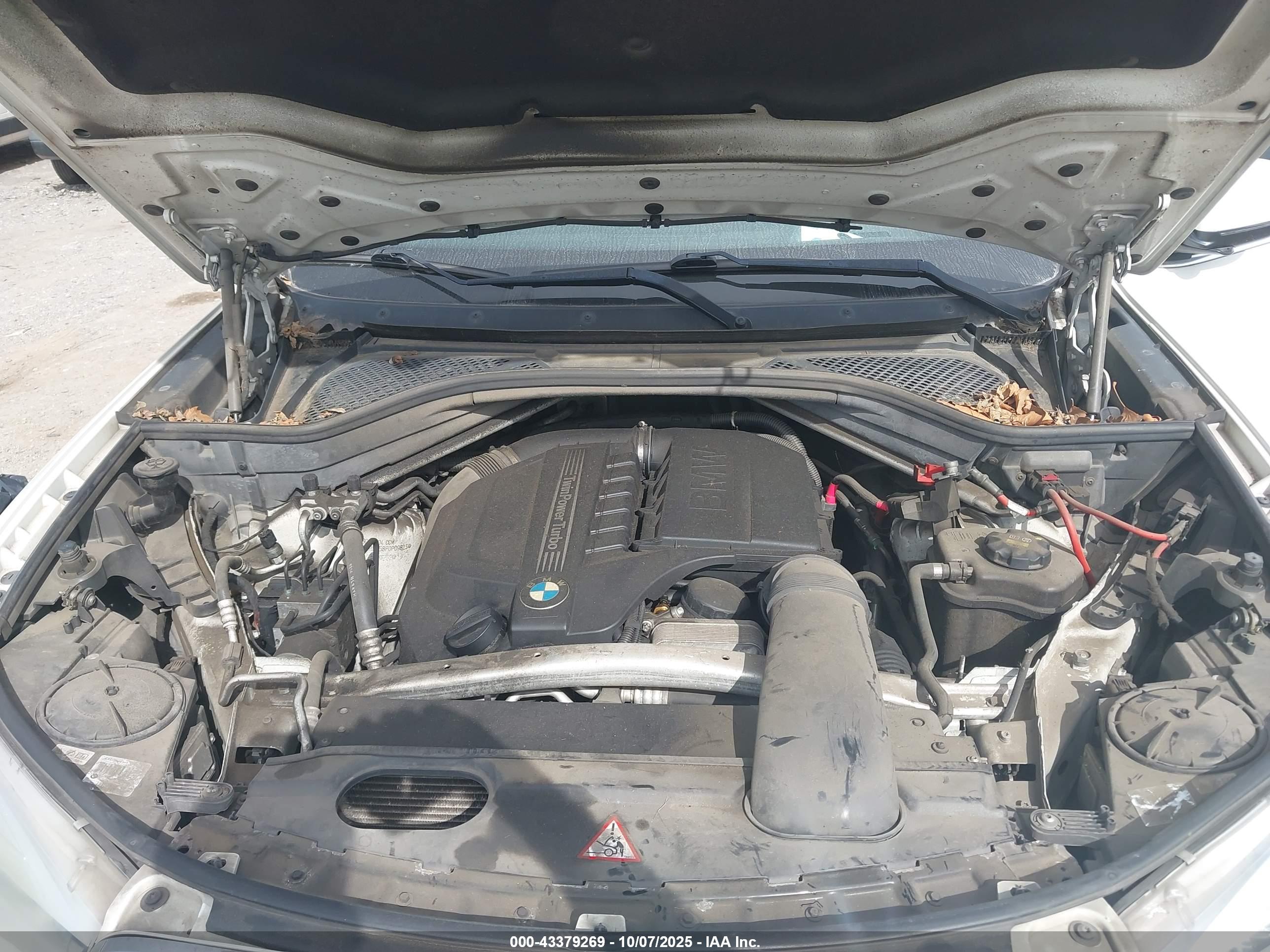 BMW X5 image 10