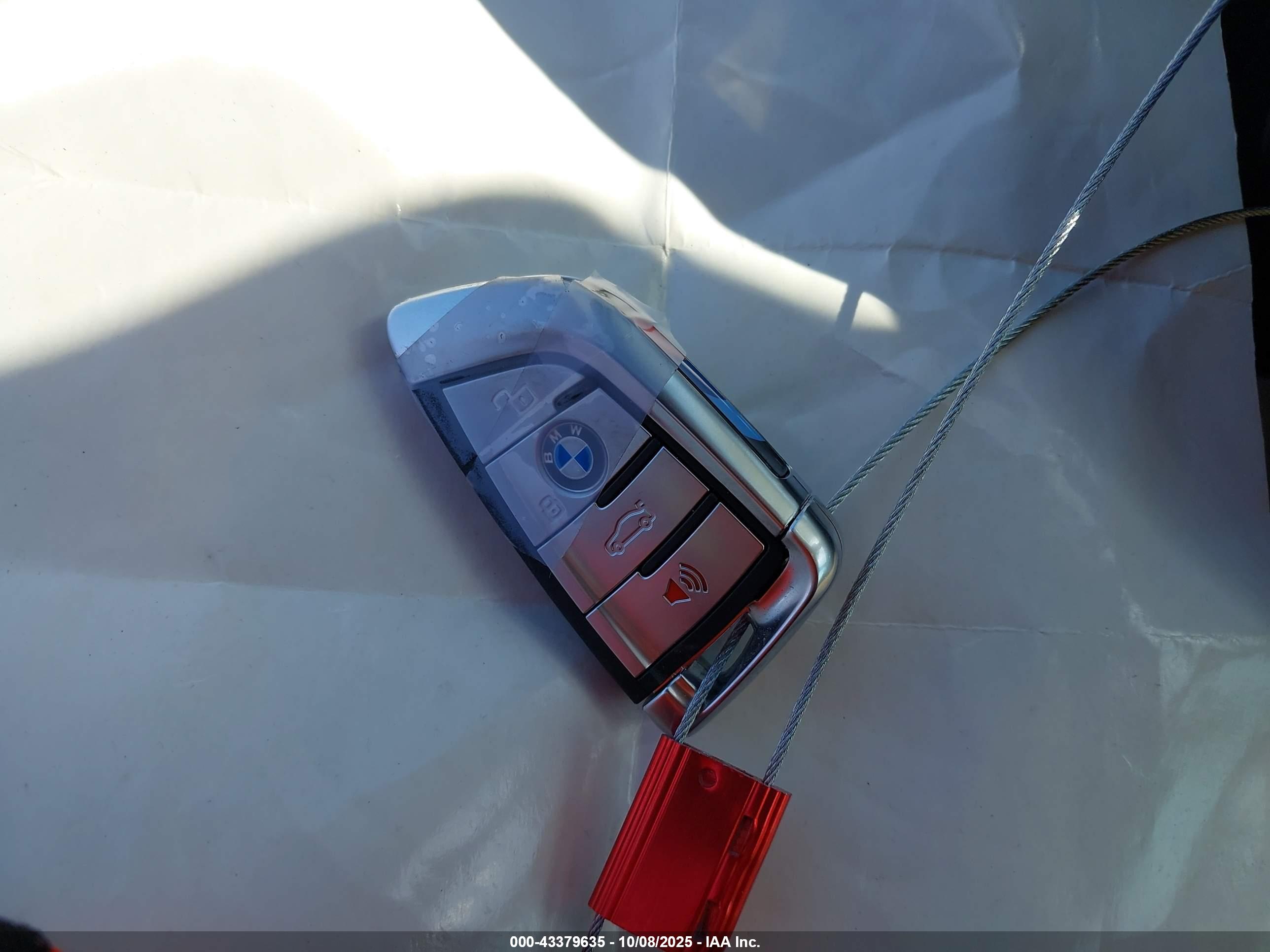 BMW X7 image 11