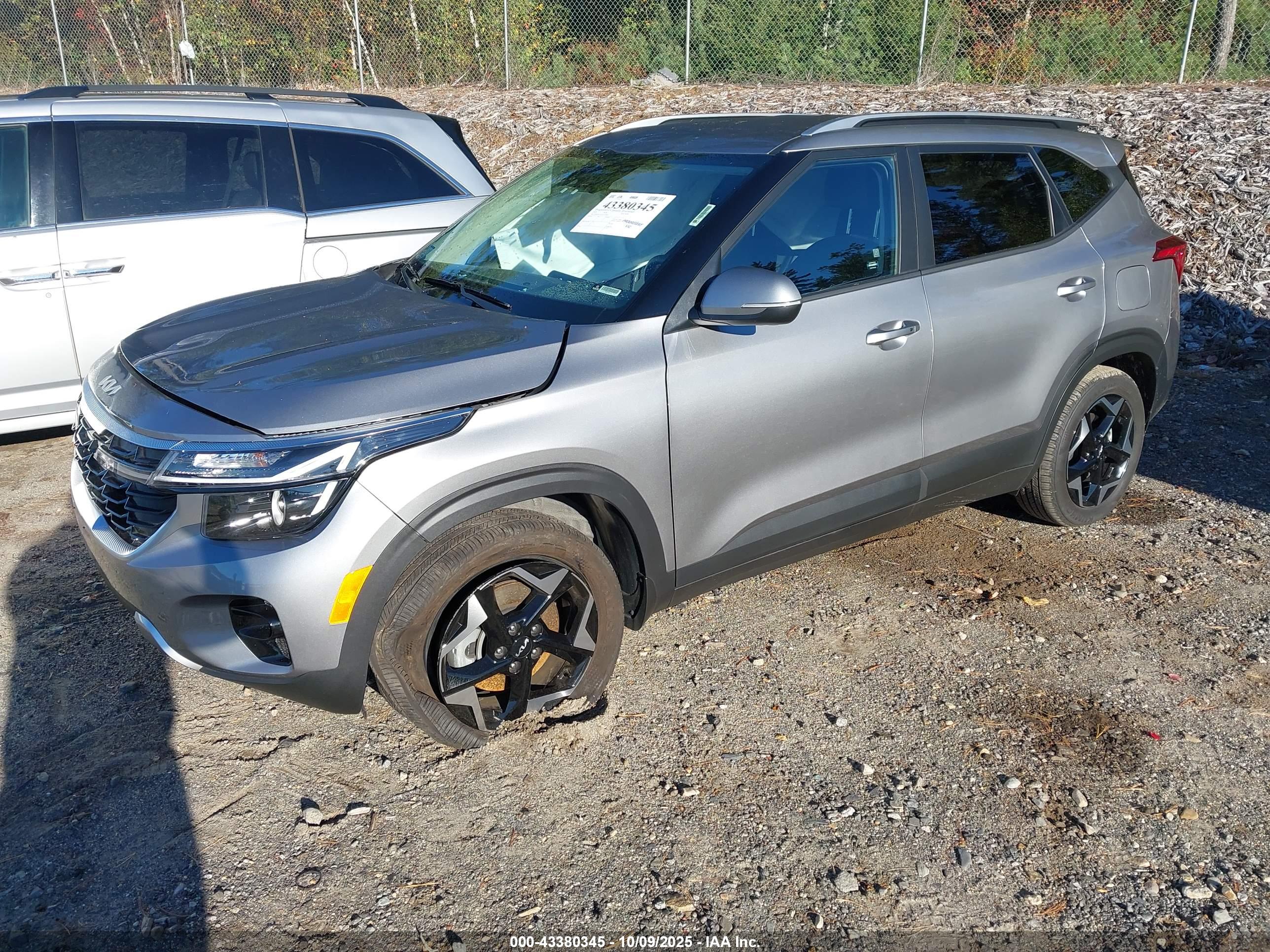 KIA SELTOS image 2