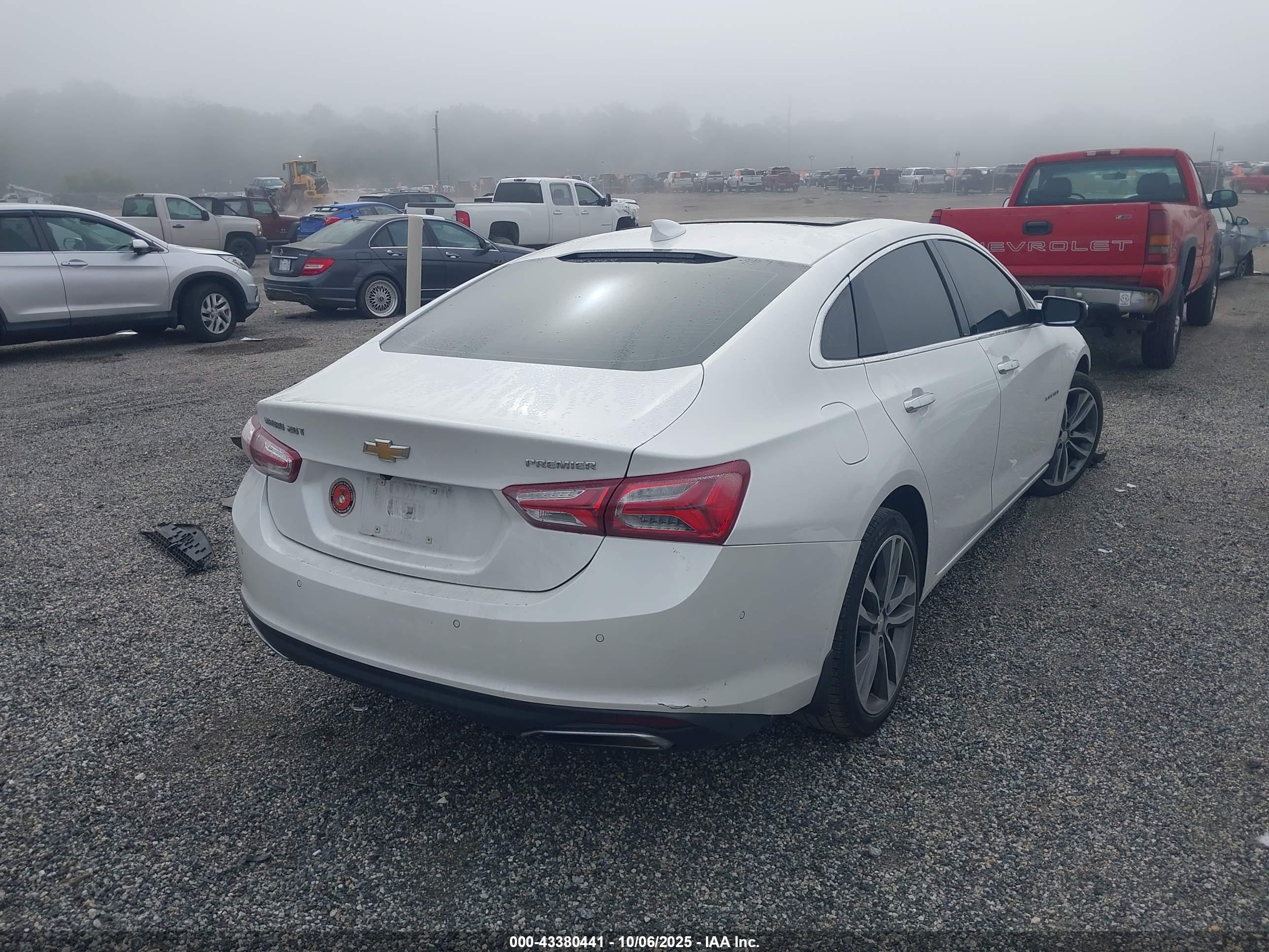CHEVROLET MALIBU image 4
