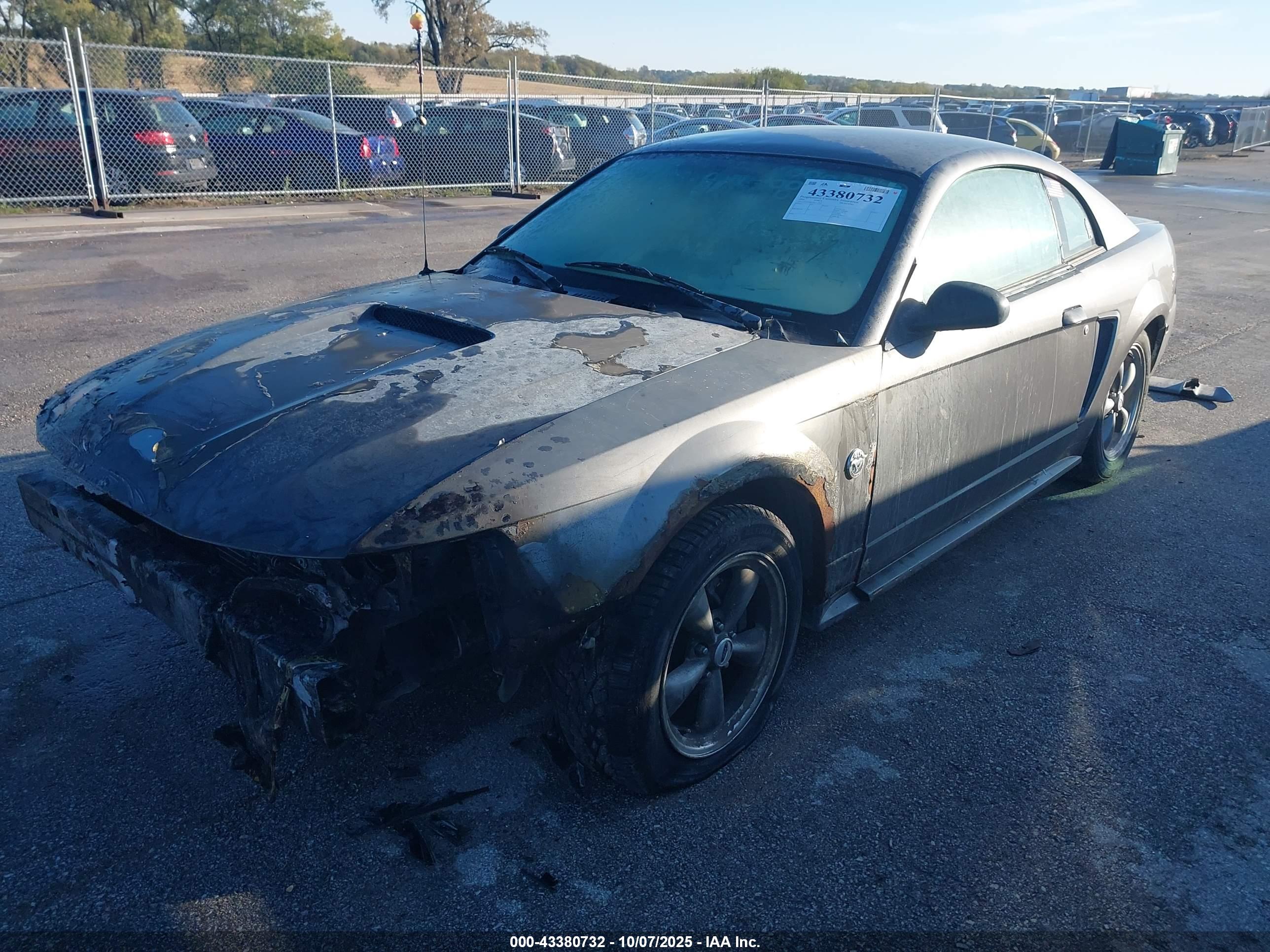 FORD MUSTANG image 2